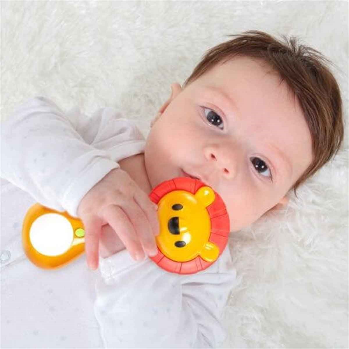 Claki Lion Teether / Aslan Dişlik