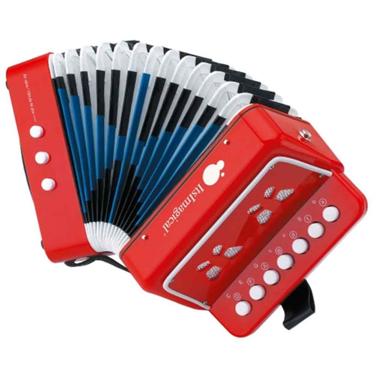 Conservatory Acordeon / Akordiyon