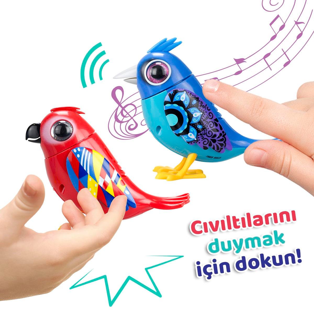 Digibirds / İkili Kuş Seti