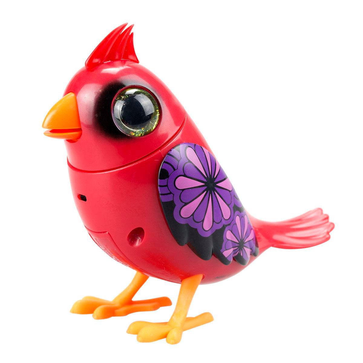 Digibirds Tekli Paket 