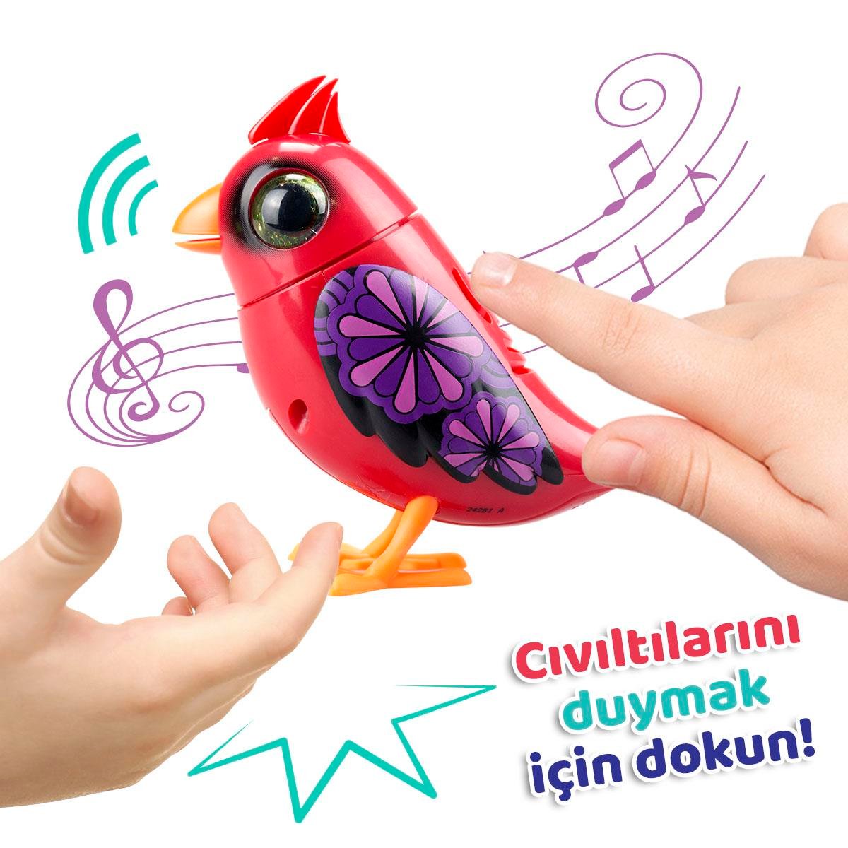 Digibirds Tekli Paket 