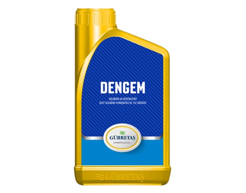 DENGEM - 1 (Lt)