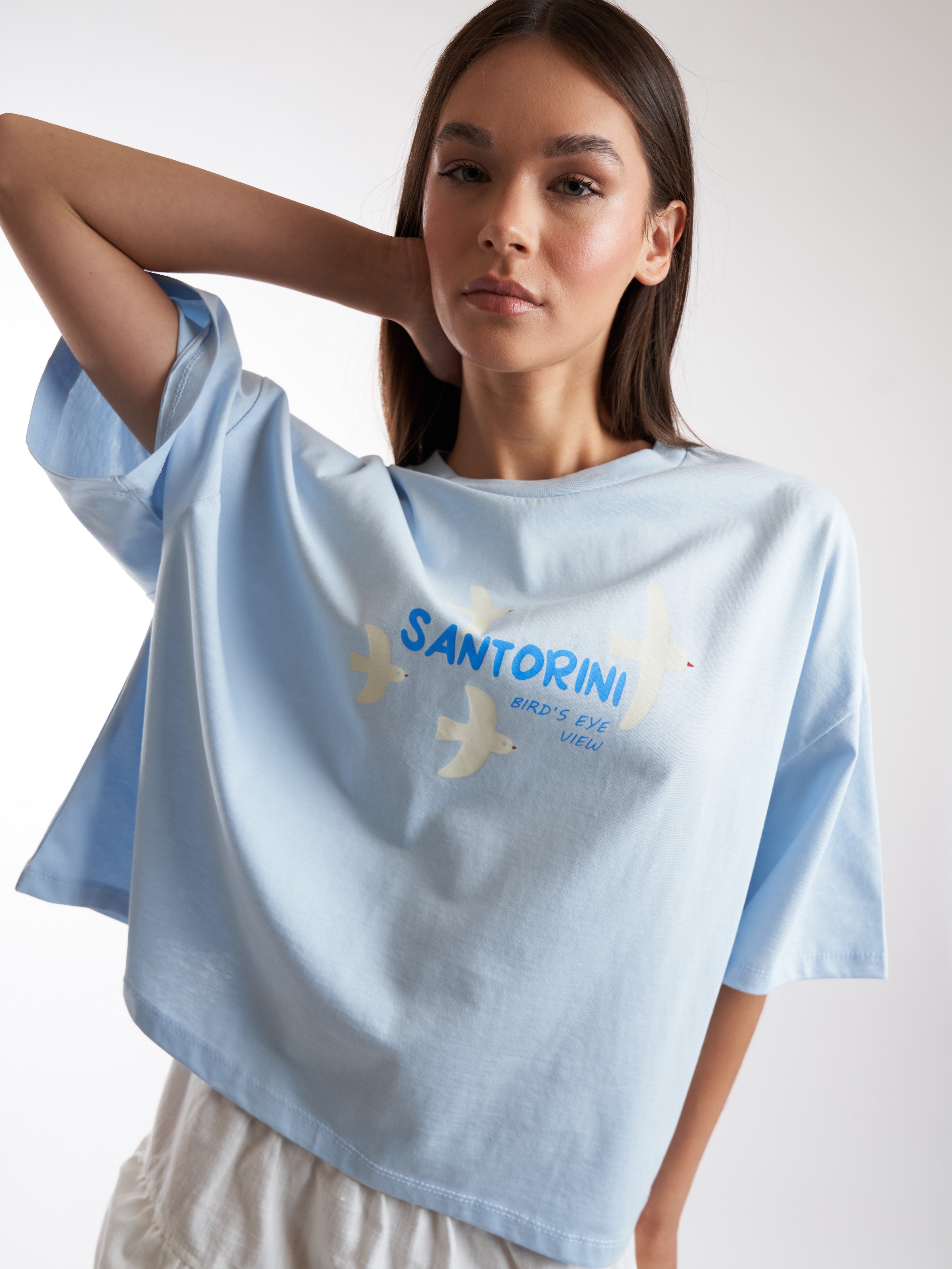 Baskılı Kısa Kol T-shirt Mavi