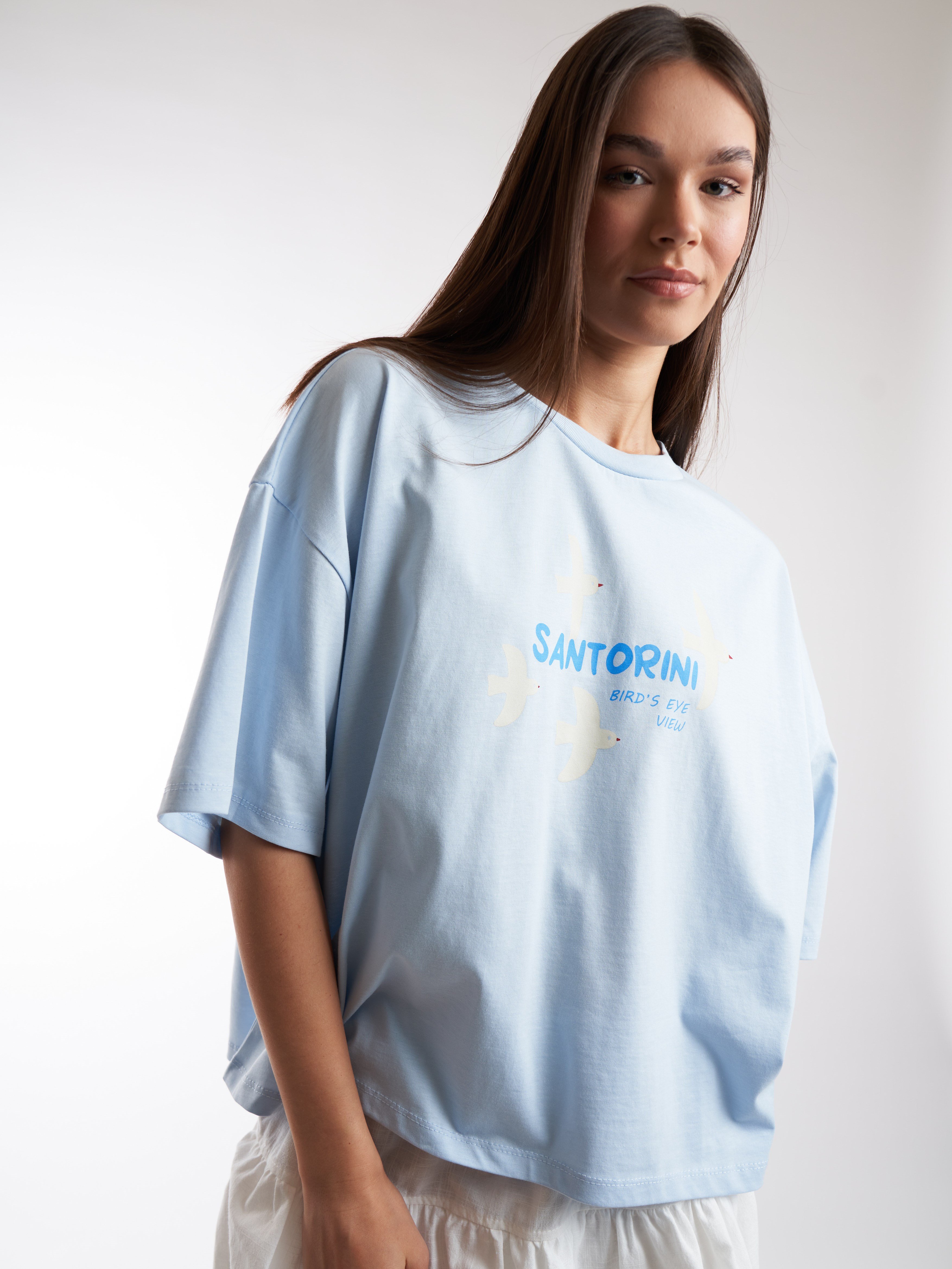 Baskılı Kısa Kol T-shirt Mavi