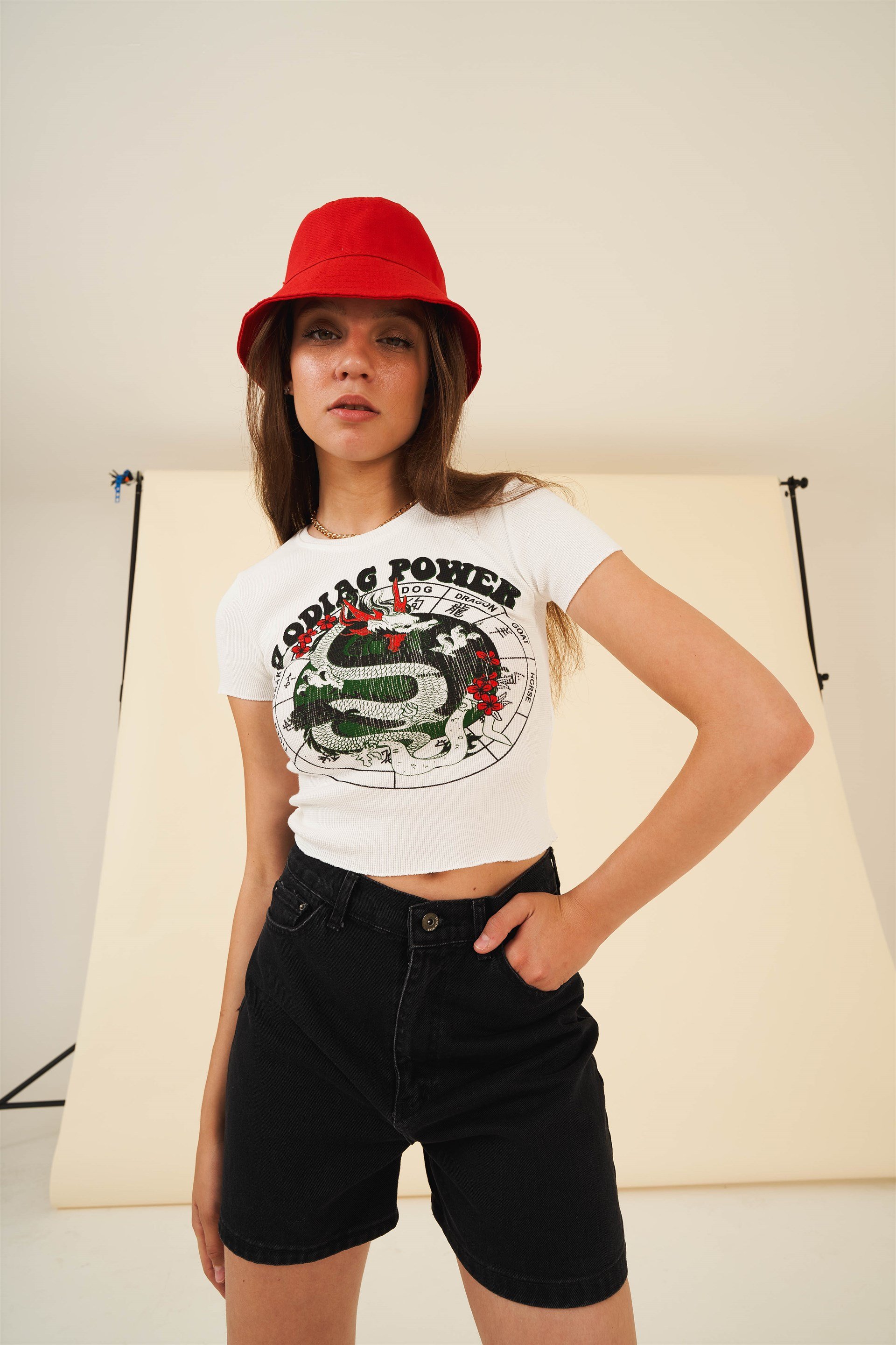 Baskılı T-shirt