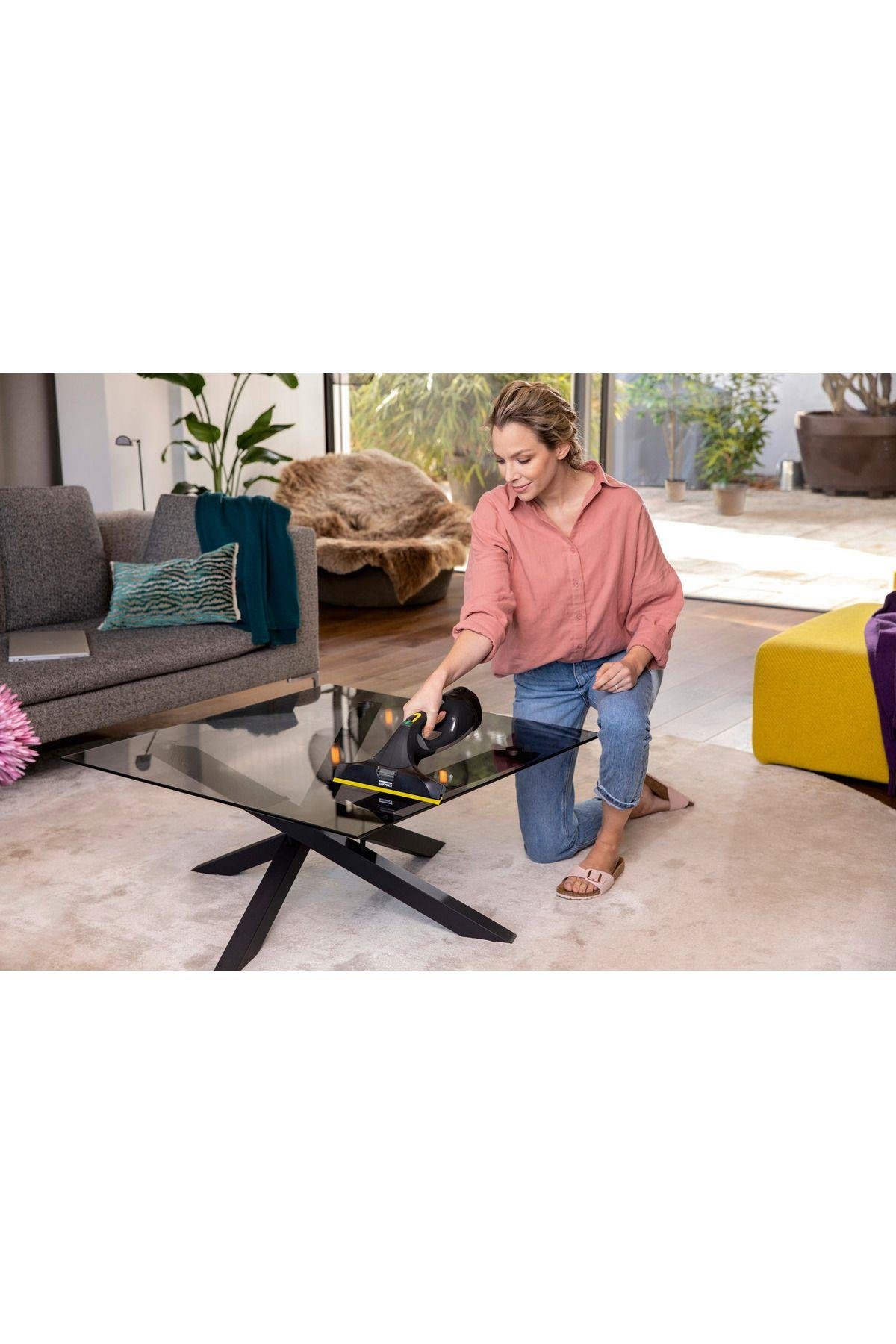 Karcher WV 5 Plus Anniversary Edition