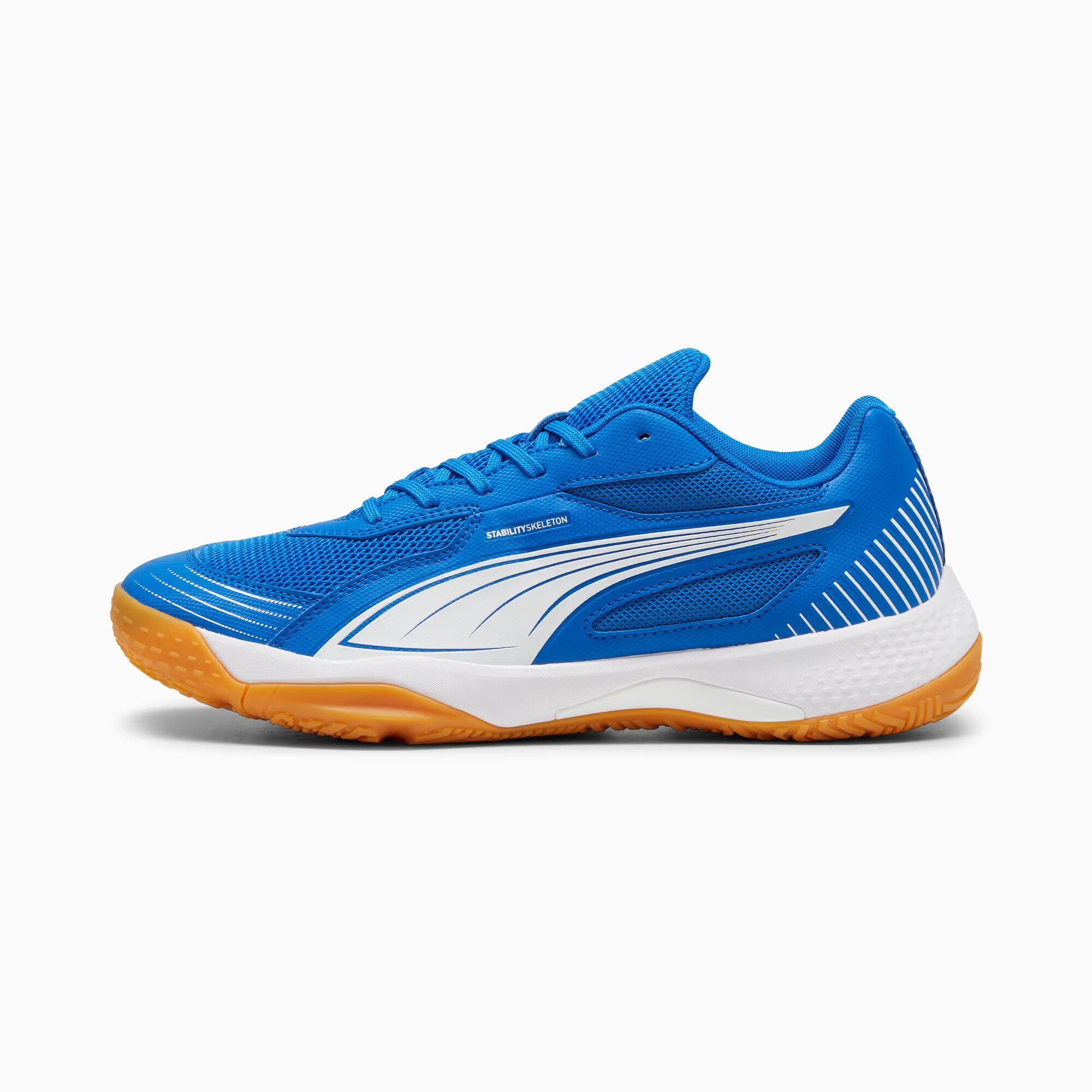 Puma Solarflash III Indoor Spor Ayakkabısı 107850-03