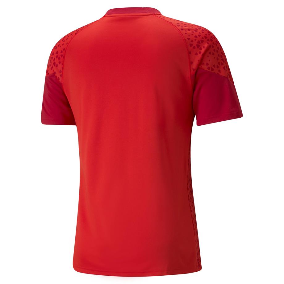 Puma TeamCup 23 Antrenman Tişört 657984-01