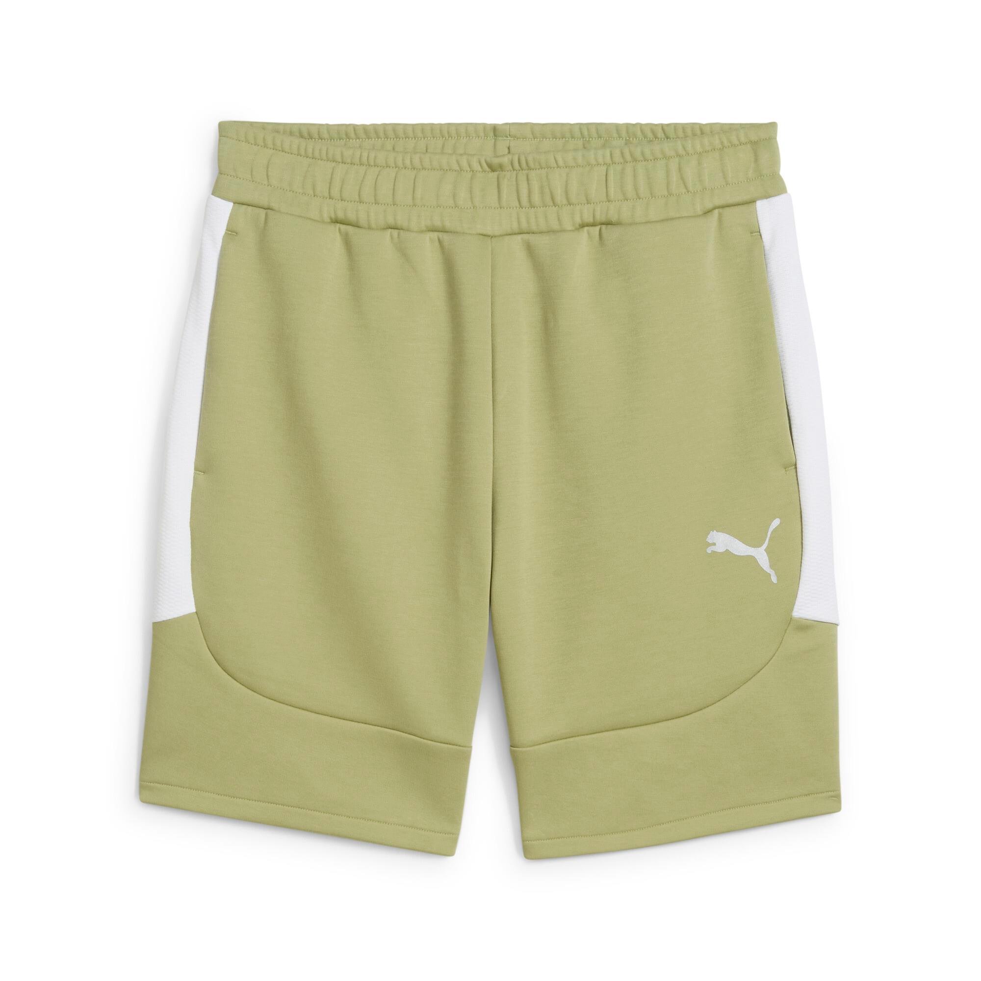 Puma teamEVOSTRIPE Casual Şort 659951-40