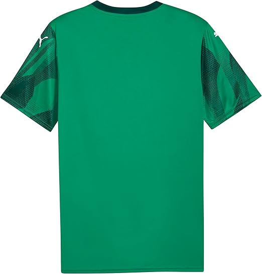 Puma teamFINAL Graphic+ Maç Forma 706654-05