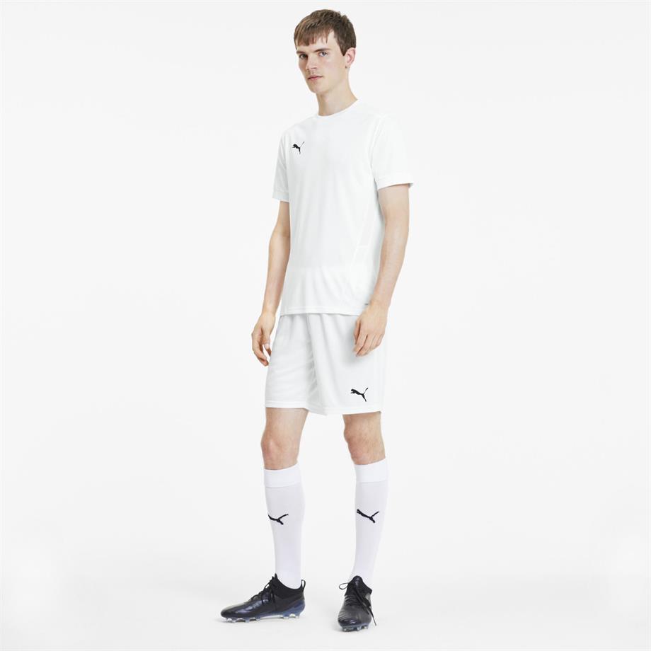 Puma TeamGoal23 Futbol Şort 704262-04