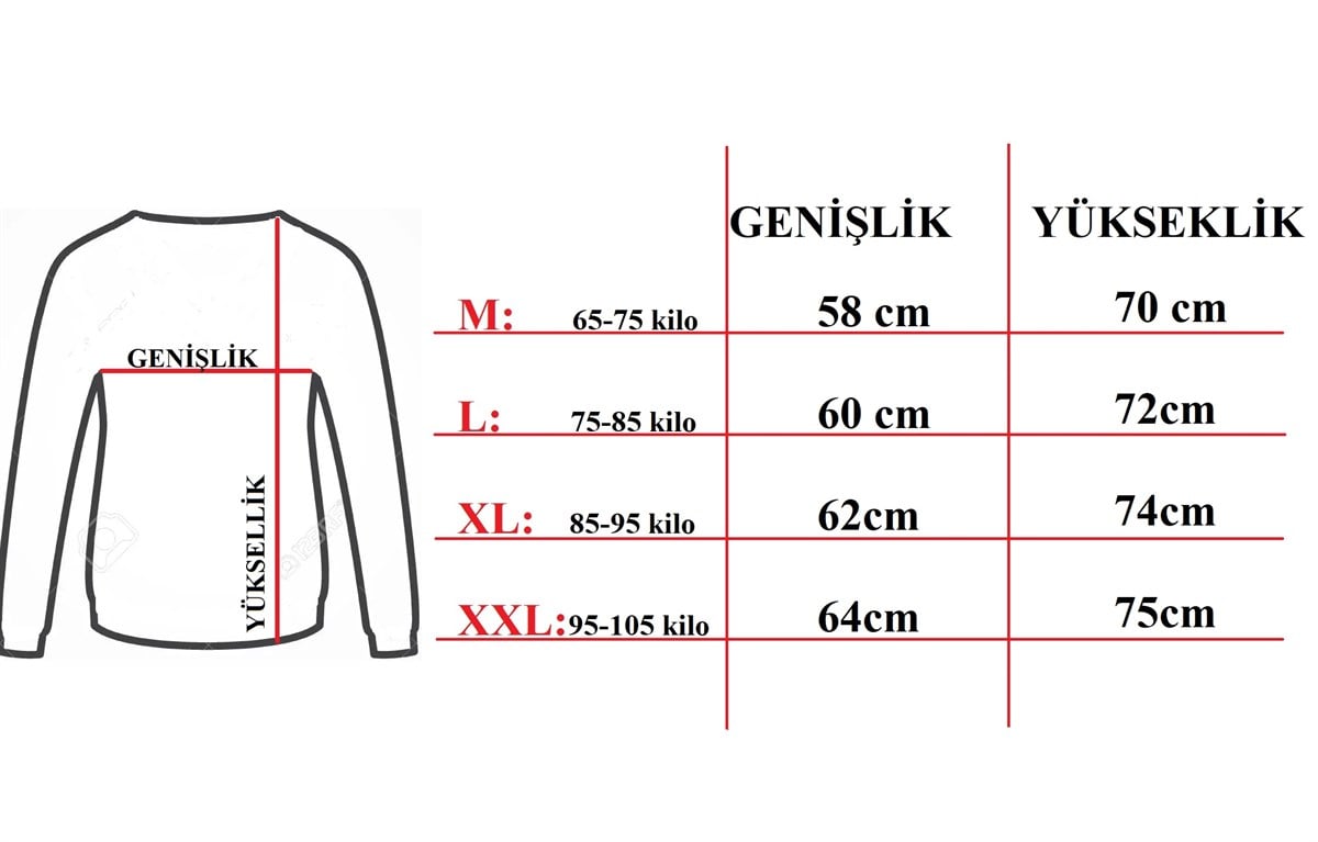 Erkek Polar Sweat 201522
