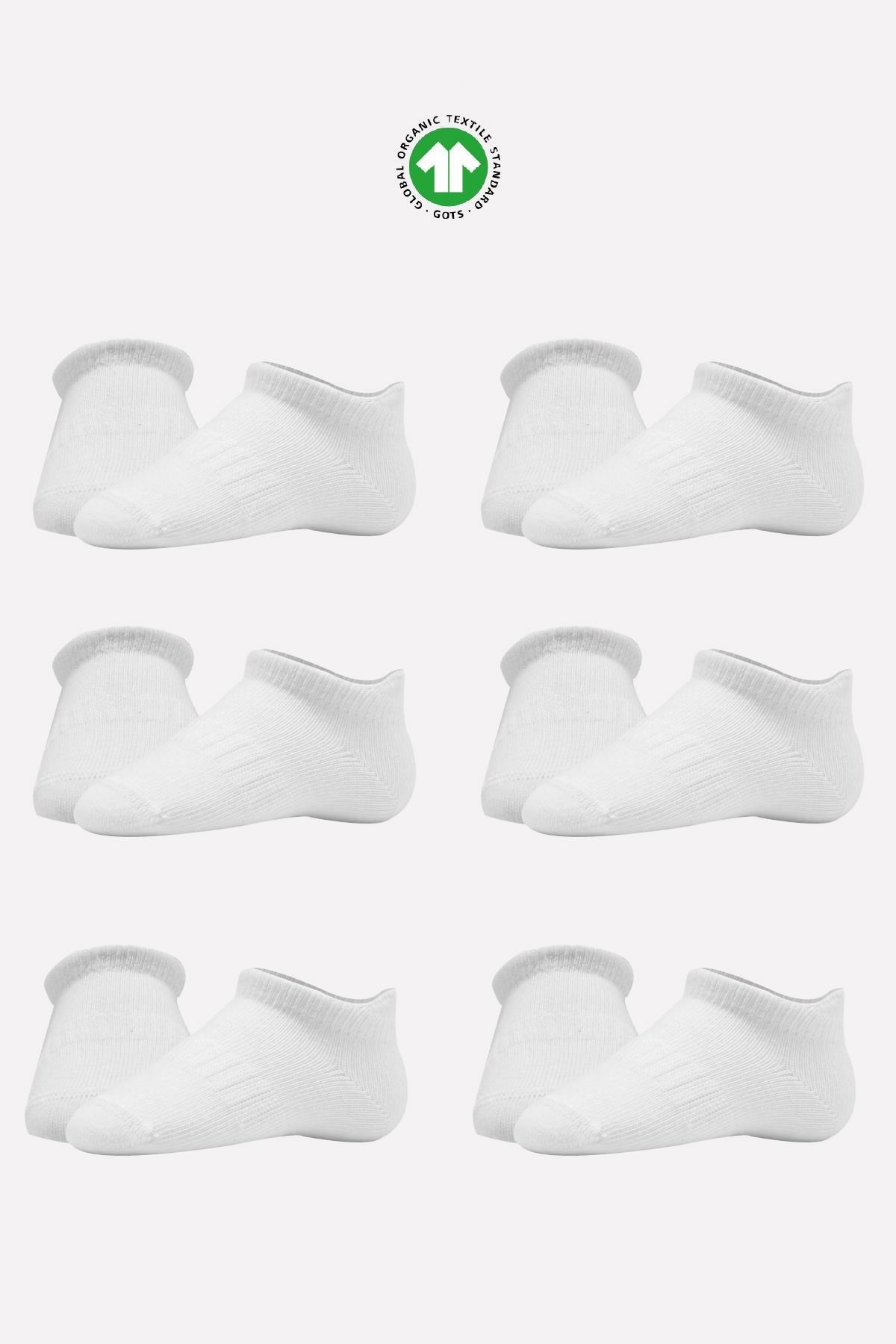 Bistil Bistyle Kız Erkek Bebek Organik Basic Dikişsiz Sneakers ÇorapÇORAPBistilBistil Bistyle Kız Erkek Bebek Organik Basic Dikişsiz Sneakers Çorap