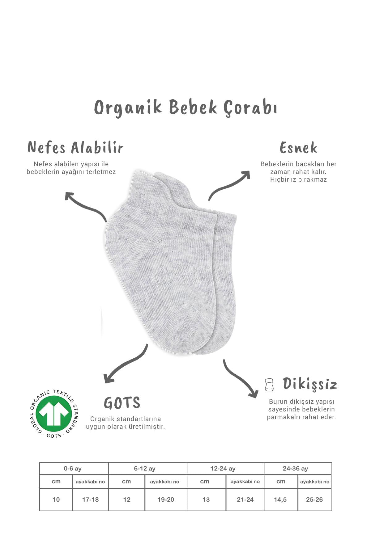 Bistil Bistyle Kız Erkek Bebek Organik Basic Dikişsiz Sneakers ÇorapSneakers & Patik ÇorapBisyleBistil Bistyle Kız Erkek Bebek Organik 6lı Çocuk Sneakers Çorap