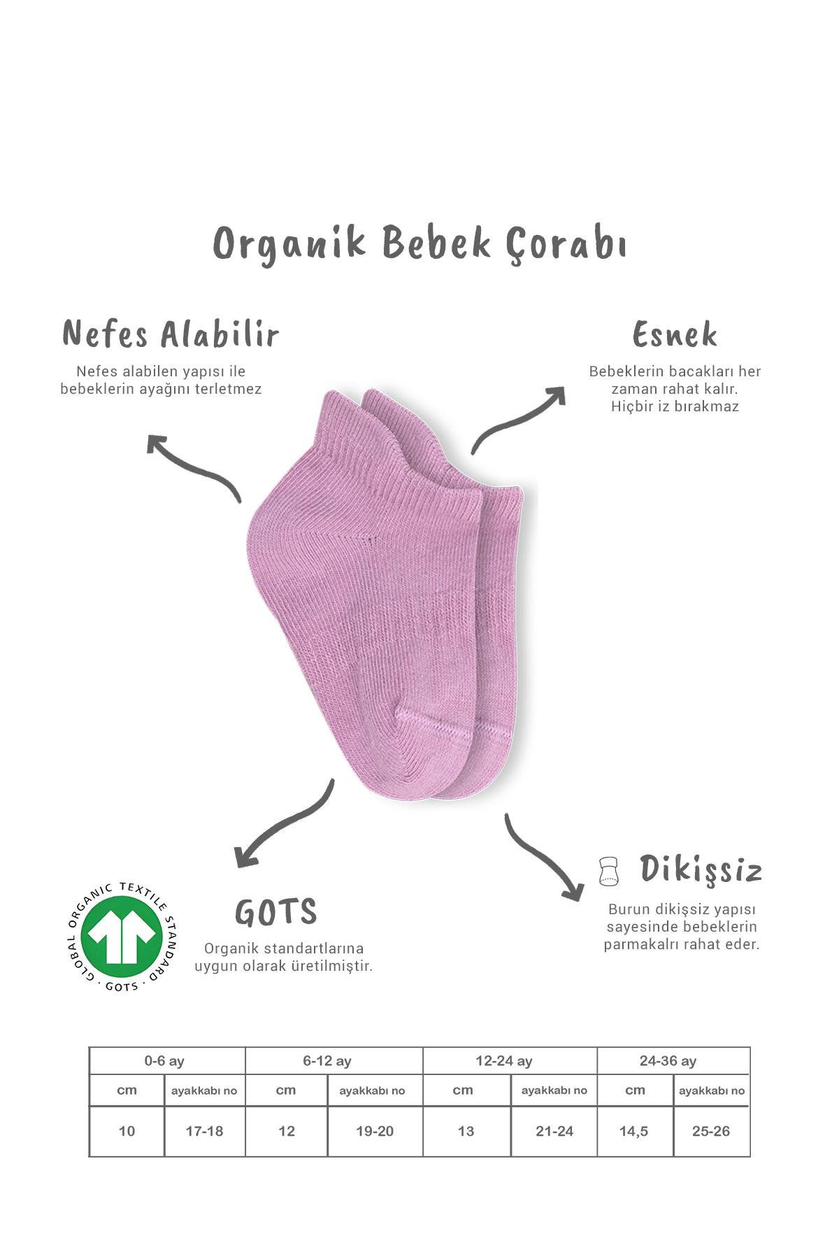 Bistil Bistyle Kız Erkek Bebek Organik Basic Dikişsiz Sneakers ÇorapSneakers & Patik ÇorapBisyleBistil Bistyle Kız Erkek Bebek Organik 6lı Çocuk Sneakers Çorap