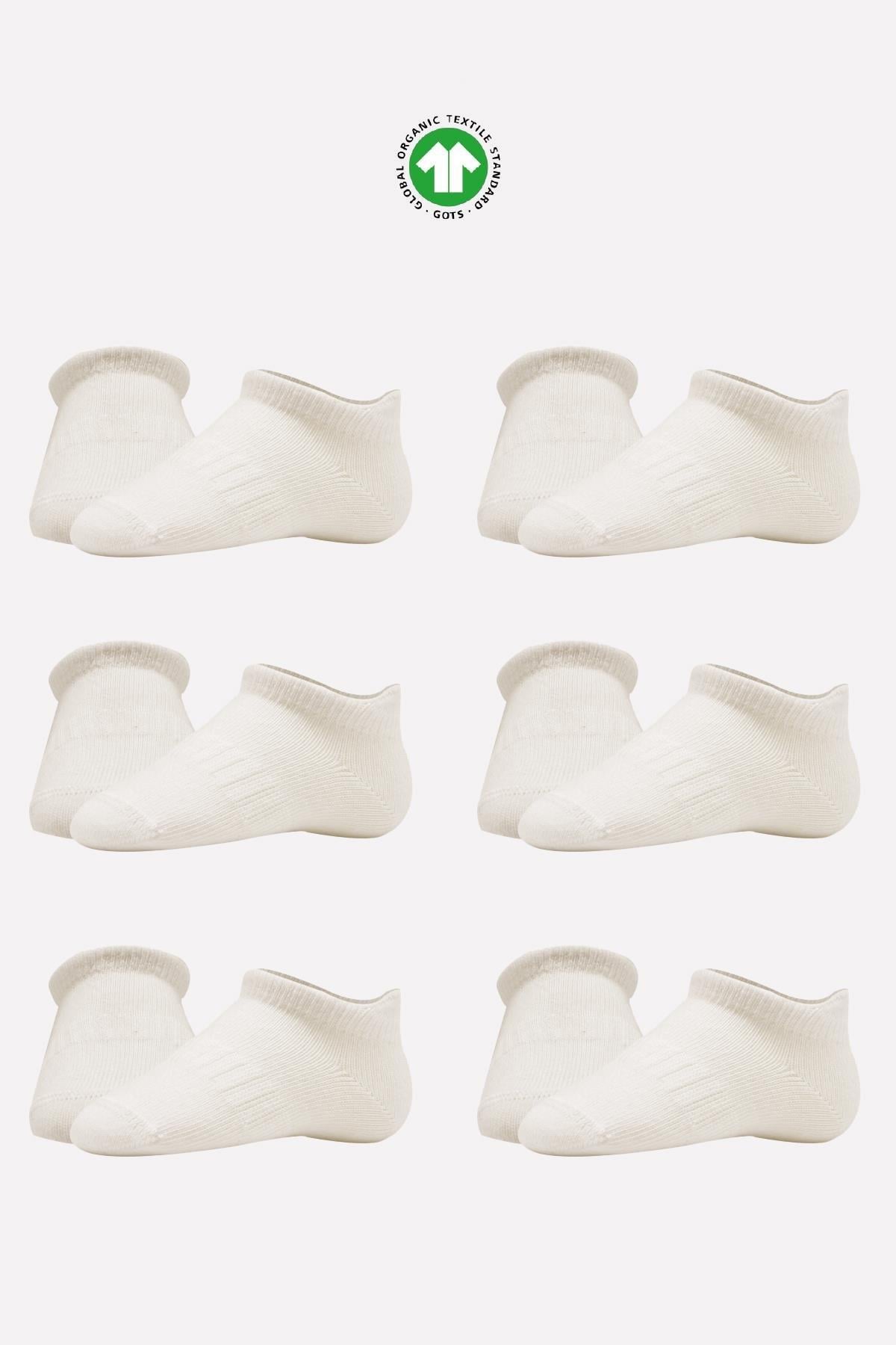 Bistil Bistyle Kız Erkek Bebek Organik Basic Dikişsiz Sneakers ÇorapÇORAPBistilBistil Bistyle Kız Erkek Bebek Organik Basic Dikişsiz Sneakers Çorap