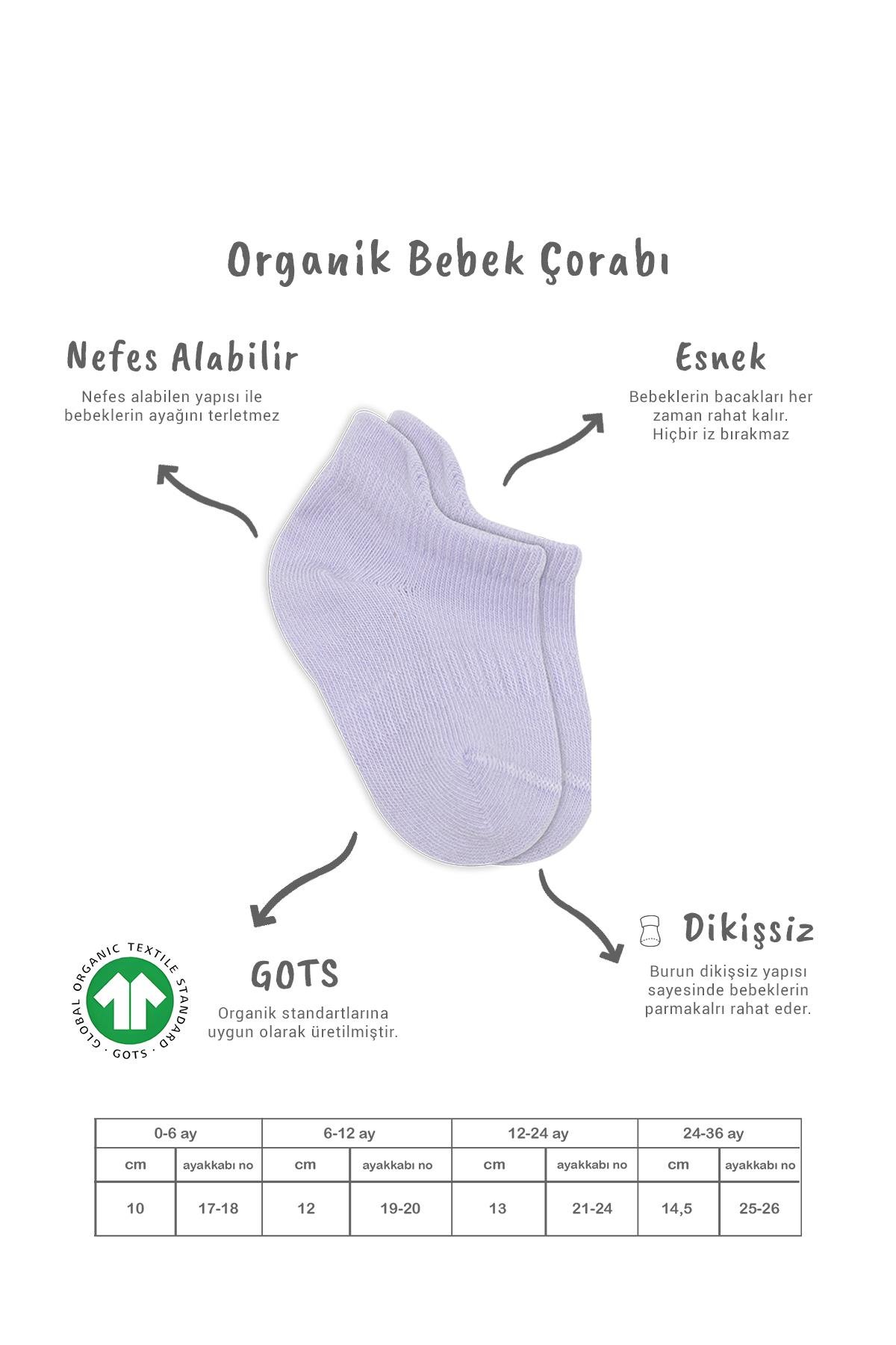 Bistil Bistyle Kız Erkek Bebek Organik Basic Dikişsiz Sneakers ÇorapSneakers & Patik ÇorapBisyleBistil Bistyle Kız Erkek Bebek Organik 6lı Çocuk Sneakers Çorap