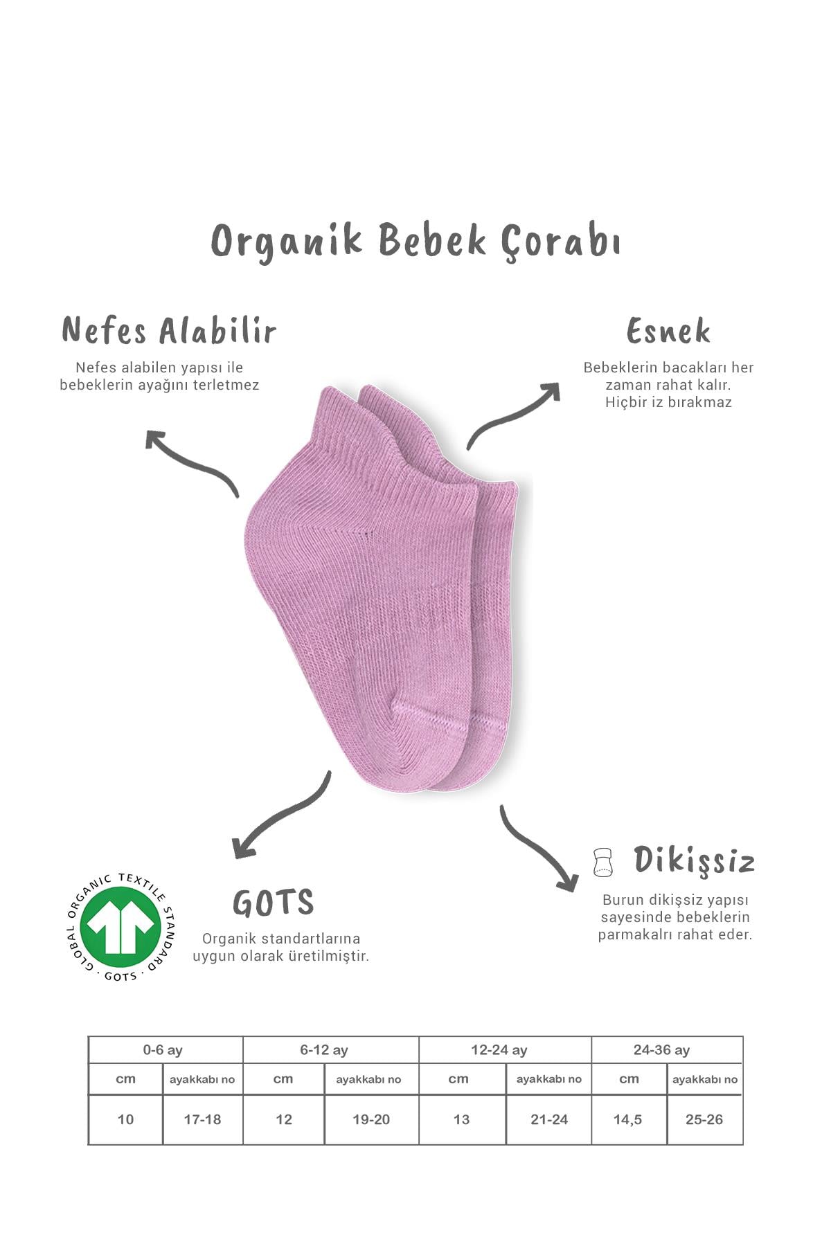 Bistil Bistyle Kız Erkek Bebek Organik Basic Dikişsiz Sneakers ÇorapSneakers & Patik ÇorapBisyleBistil Bistyle Kız Erkek Bebek Organik 6lı Çocuk Sneakers Çorap