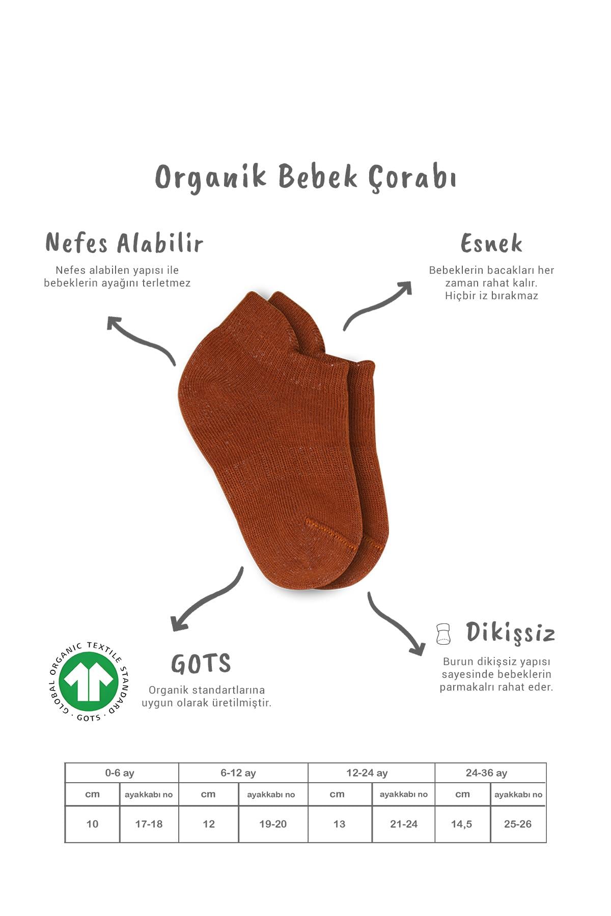 Bistil Bistyle Kız Erkek Bebek Organik Basic Dikişsiz Sneakers ÇorapSneakers & Patik ÇorapBisyleBistil Bistyle Kız Erkek Bebek Organik 6lı Çocuk Sneakers Çorap