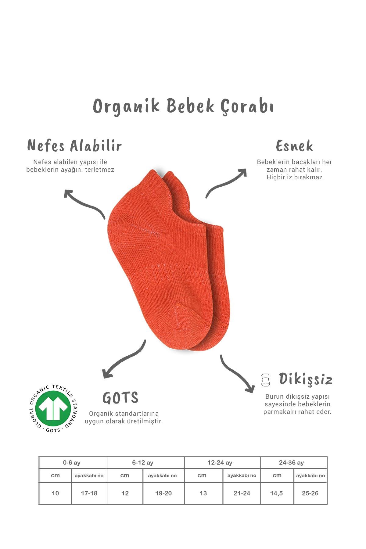 Bistil Bistyle Kız Erkek Bebek Organik Basic Dikişsiz Sneakers ÇorapSneakers & Patik ÇorapBisyleBistil Bistyle Kız Erkek Bebek Organik 6lı Çocuk Sneakers Çorap