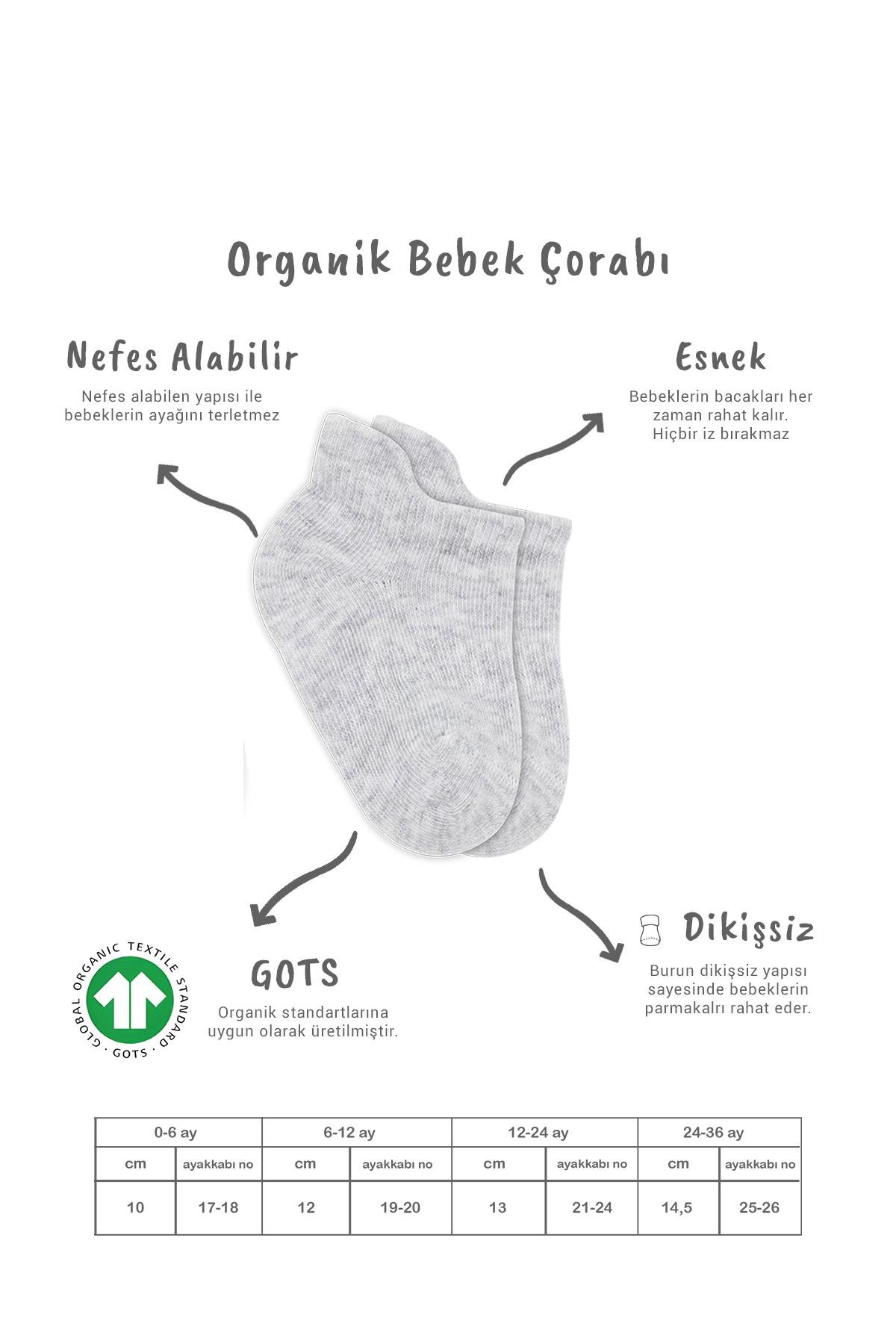Bistil Bistyle Kız Erkek Bebek Organik Basic Dikişsiz Sneakers ÇorapSneakers & Patik ÇorapBisyleBistil Bistyle Kız Erkek Bebek Organik 6lı Çocuk Sneakers Çorap