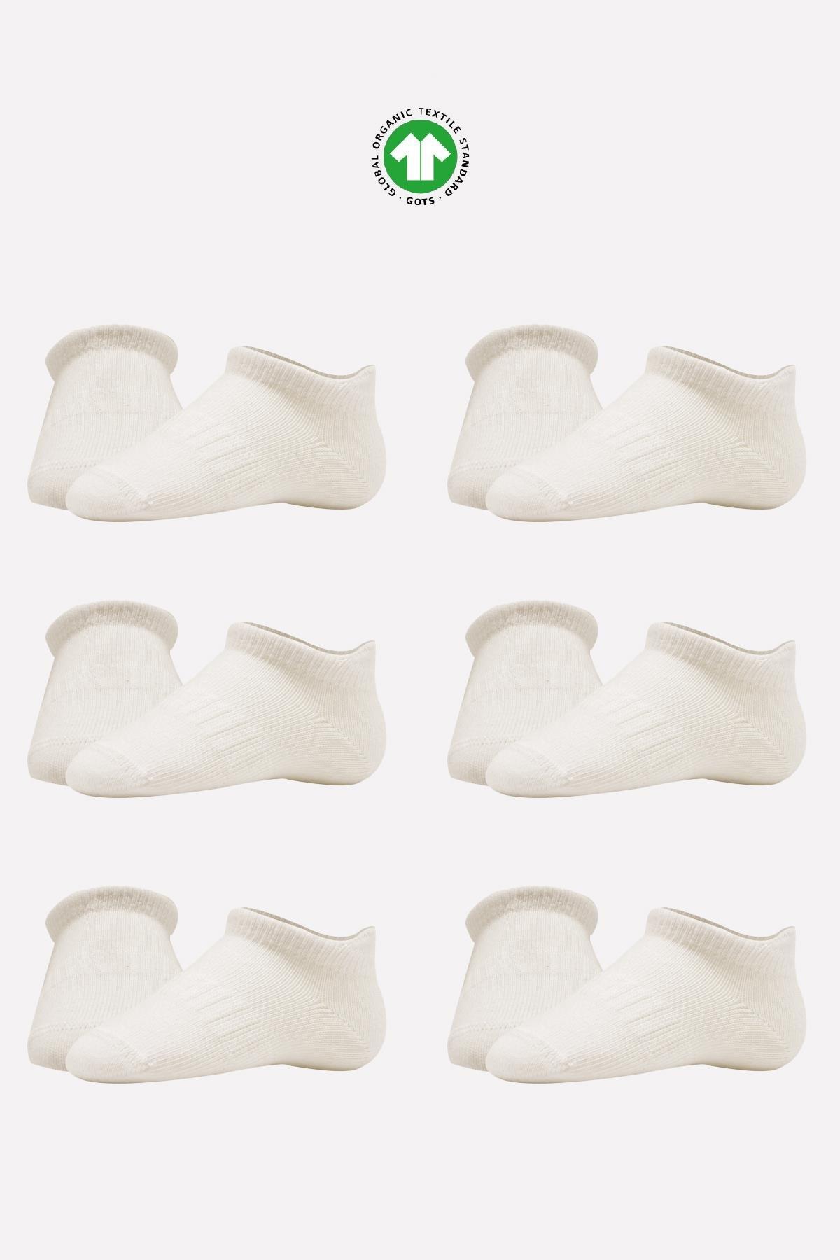 Bistil Bistyle Kız Erkek Bebek Organik Basic Dikişsiz Sneakers ÇorapÇORAPBistilBistil Bistyle Kız Erkek Bebek Organik Basic Dikişsiz Sneakers Çorap