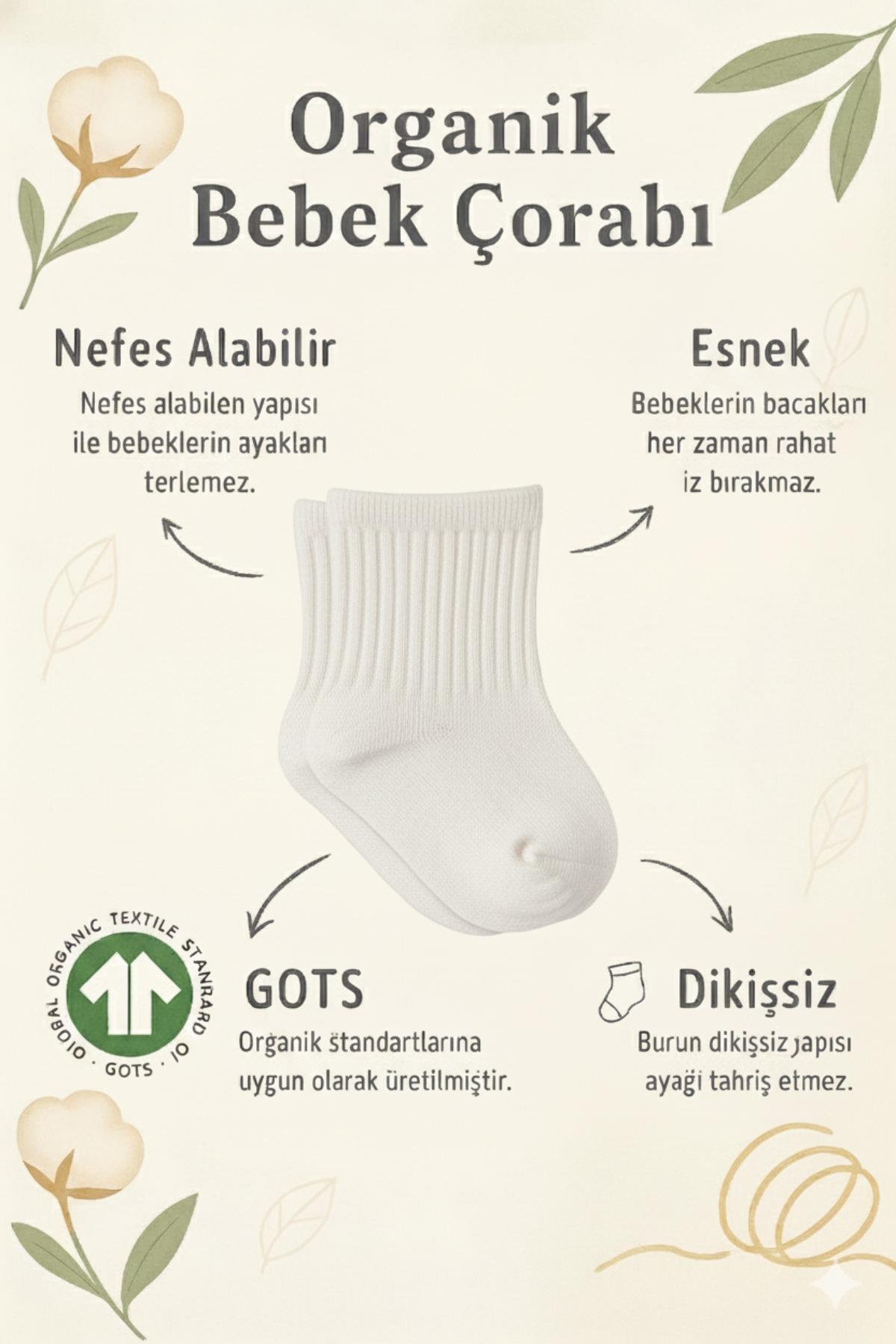 Bistyle 6 Çift Organik Pamuk Bebek Çorap / Dikişsiz Penye Soket / Yenidoğan Kız Erkek Çocuk ÇorapSoket ÇorapBistyleBistyle 6 Çift Organik Pamuk Bebek Çorap / Dikişsiz Penye Soket / Yenidoğan Kız Erkek Çocuk Çorap (Lila)