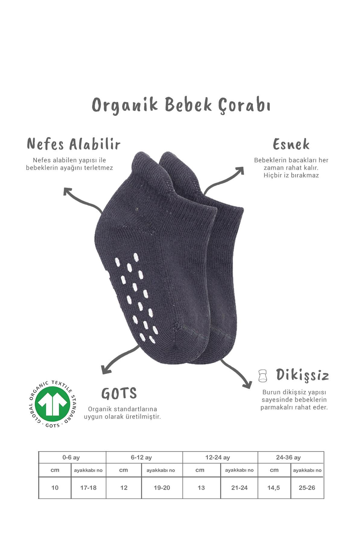 Sneakers & Patik ÇorapBistyleBistyle Organik 2li Bebek Çocuk Taban Altı Havlu Kaymaz Sneakers Çorap