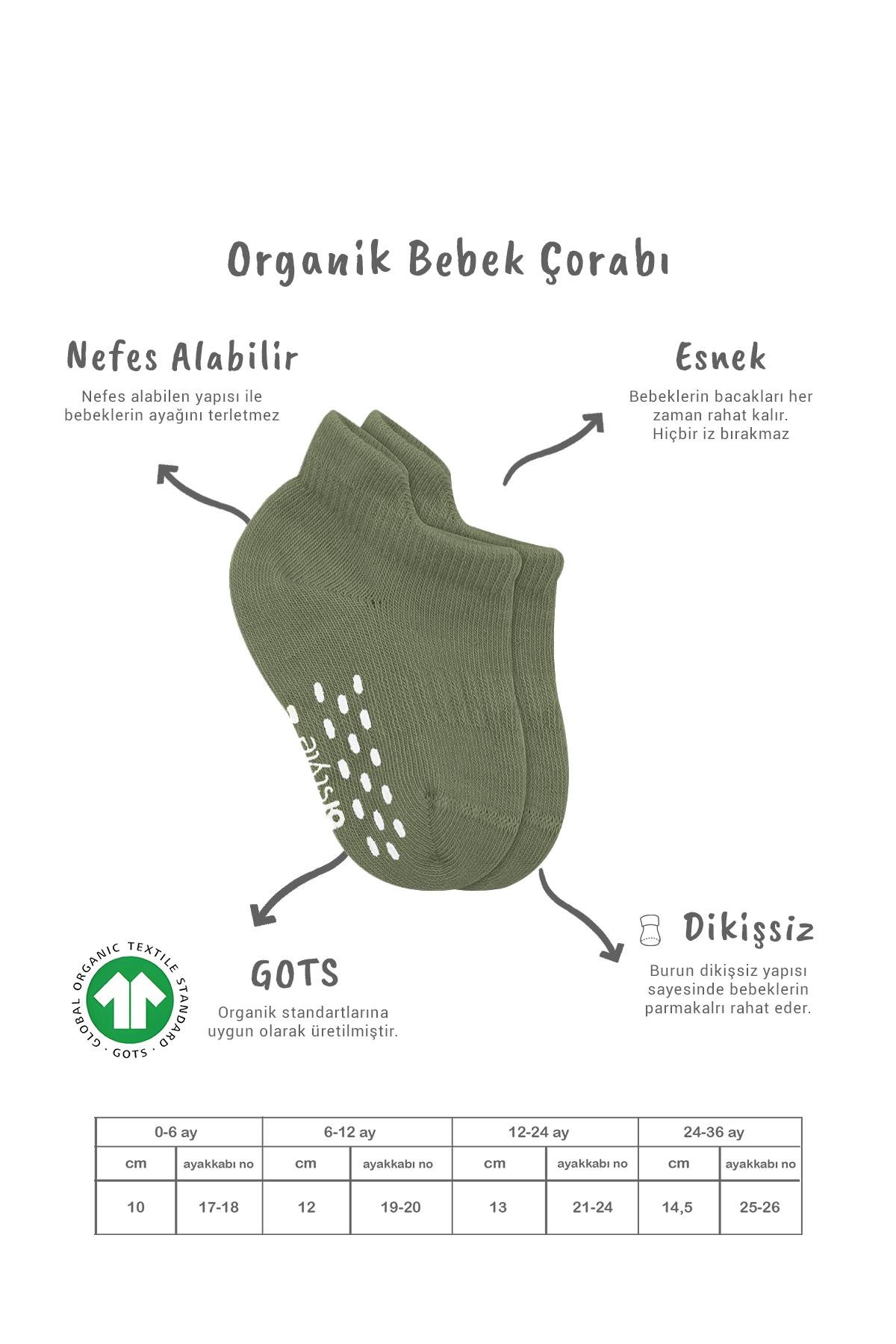 Sneakers & Patik ÇorapBistyleBistyle Organik Bebek Çocuk 2li Colours Penye Kaymaz Sneakers Çorap
