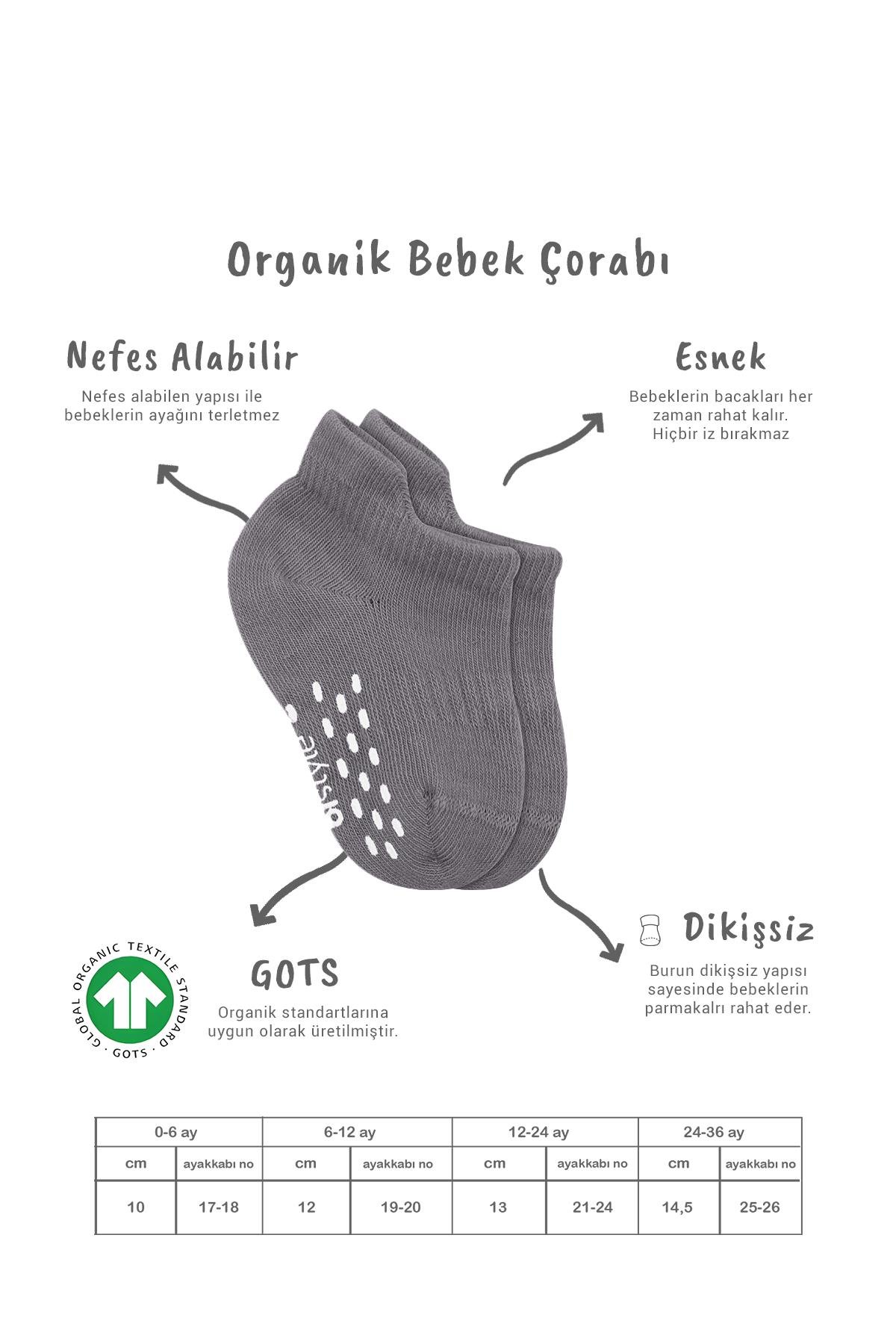 Sneakers & Patik ÇorapBistyleBistyle Organik Bebek Çocuk 2li Colours Penye Kaymaz Sneakers Çorap