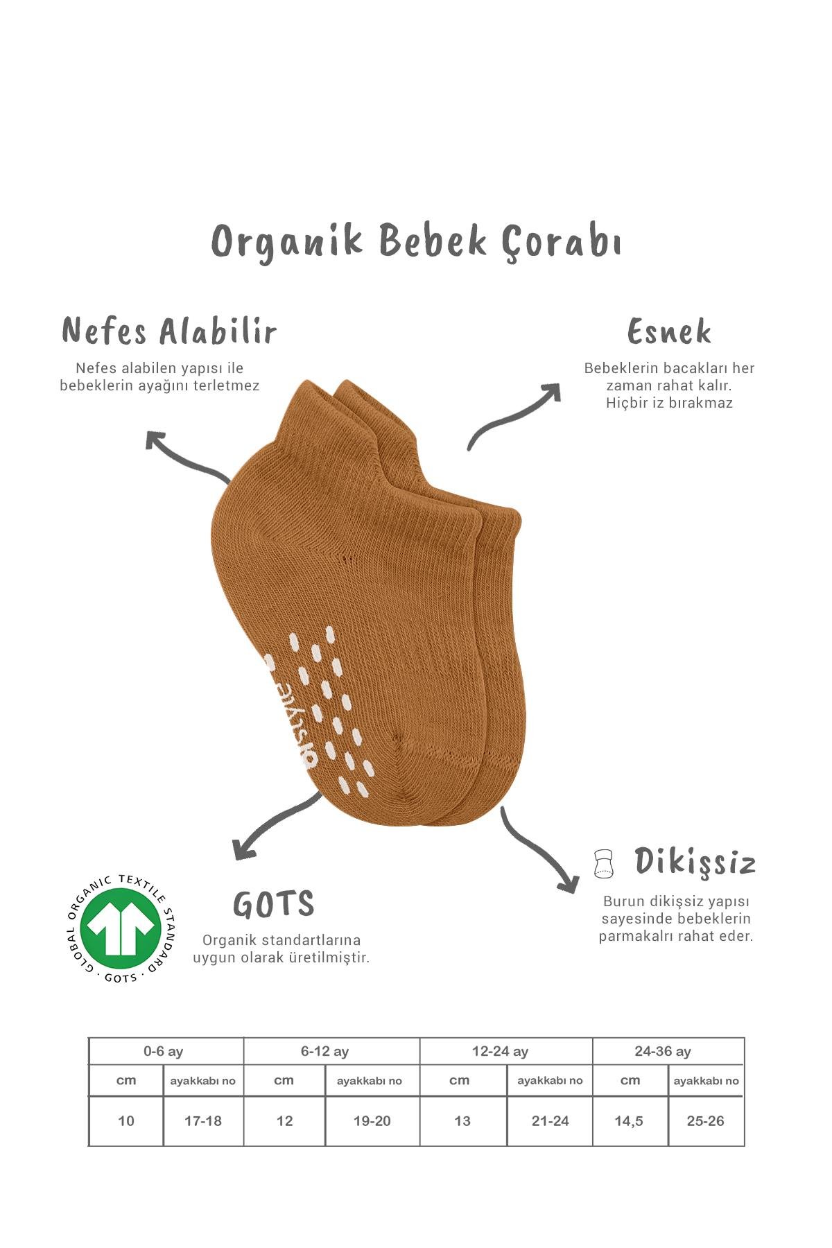 Sneakers & Patik ÇorapBistyleBistyle Organik Bebek Çocuk 2li Colours Penye Kaymaz Sneakers Çorap