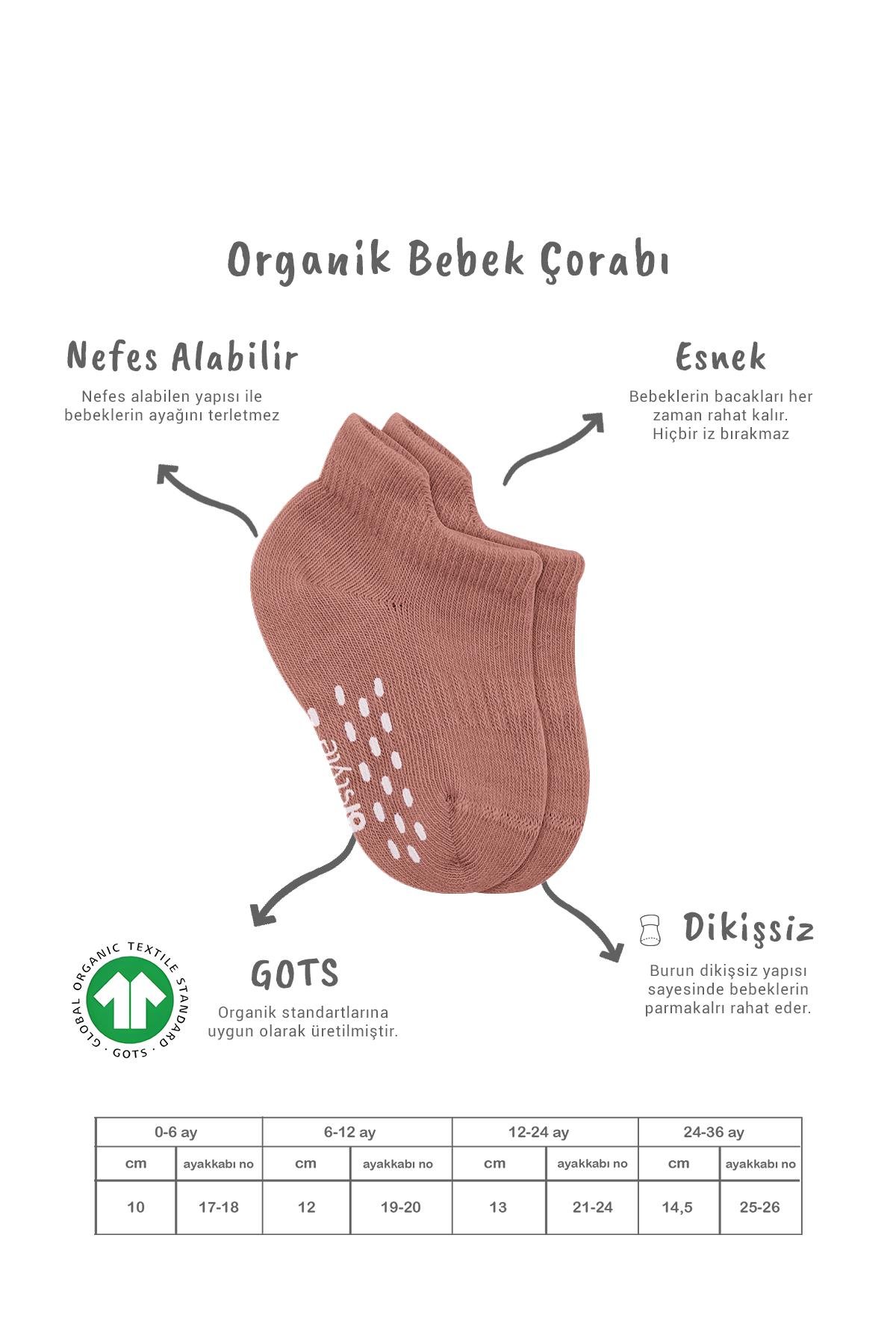 Sneakers & Patik ÇorapBistyleBistyle Organik Bebek Çocuk 2li Colours Penye Kaymaz Sneakers Çorap