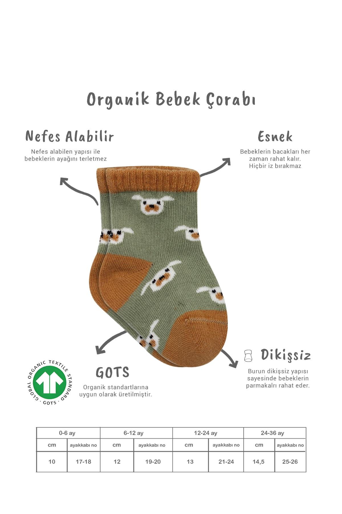 Soket ÇorapBistyleBistyle Organik Bebek Çocuk Dikişsiz 2li Love Dog Penye Soket Çorap