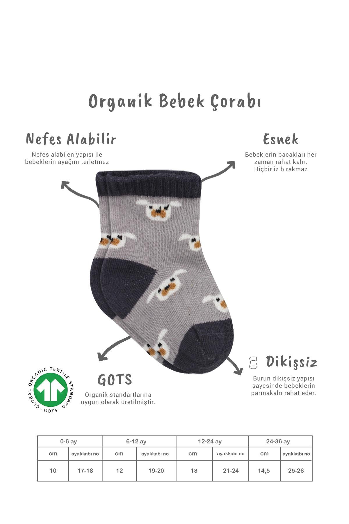 Soket ÇorapBistyleBistyle Organik Bebek Çocuk Dikişsiz 2li Love Dog Penye Soket Çorap