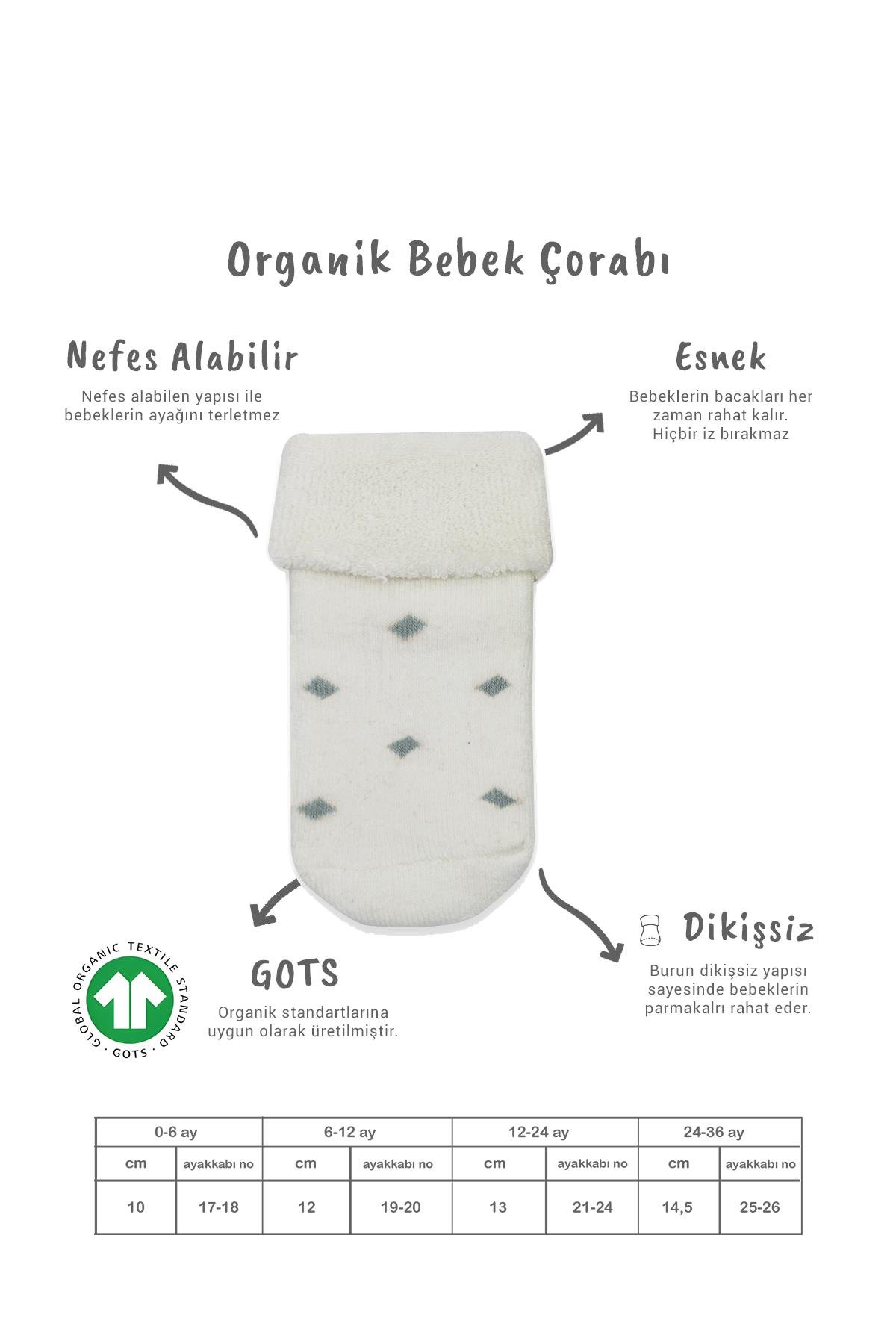 Soket ÇorapBistyleBistyle Organik Dikişsiz 2li Puan Çember Kaymaz Havlu Soket Bebek Çorap