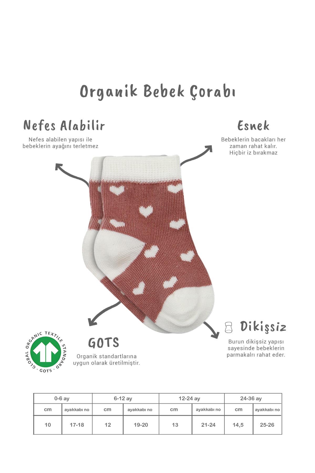 Soket ÇorapBistyleBistyle Organik Dikişsiz 3lü Cute Stars Penye Soket Bebek Çorap 0-3 Ay