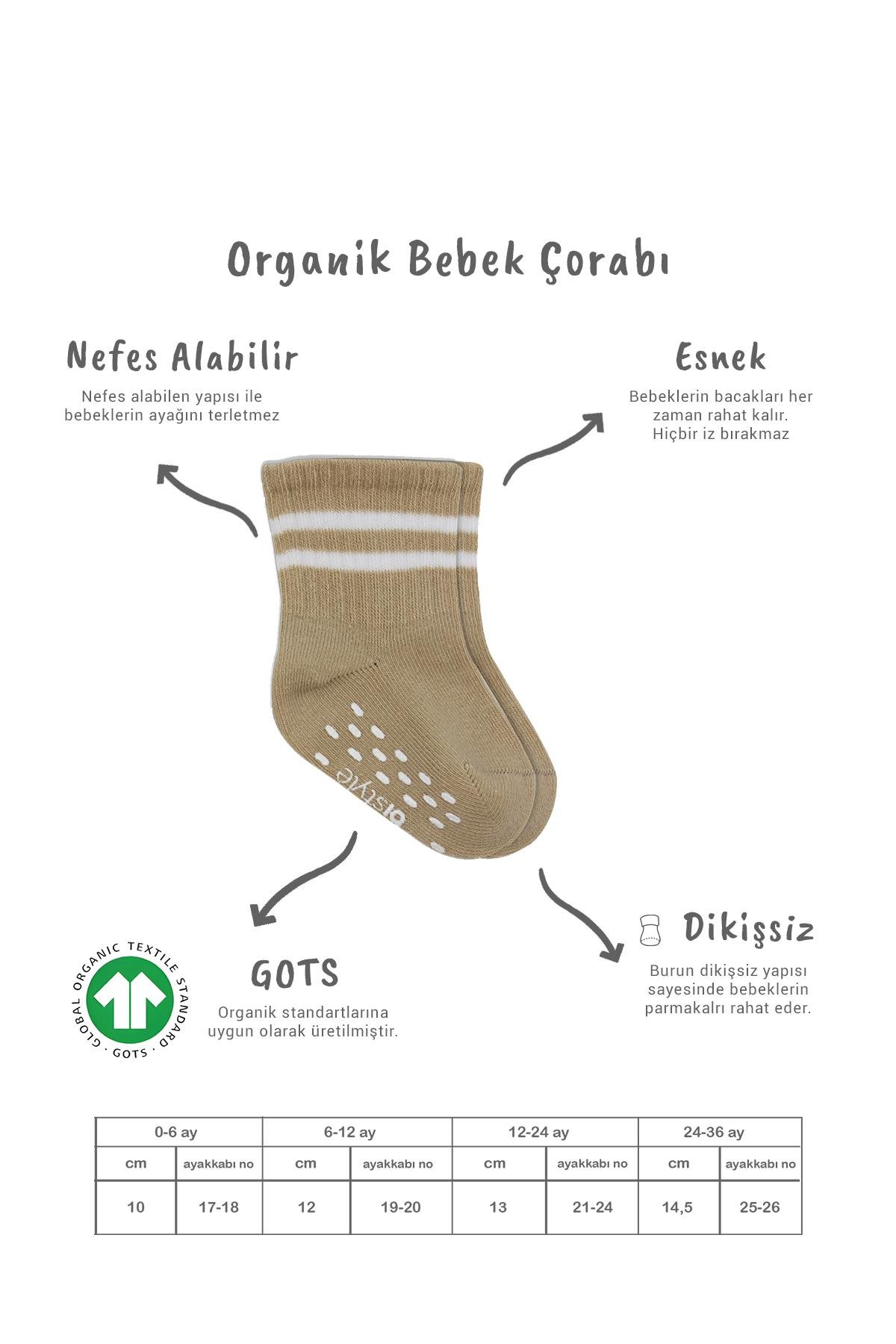 Soket ÇorapBistyleBistyle Organik Kız Erkek Bebek Çocuk 5li Çemberli Kaymaz Penye Soket Kutulu