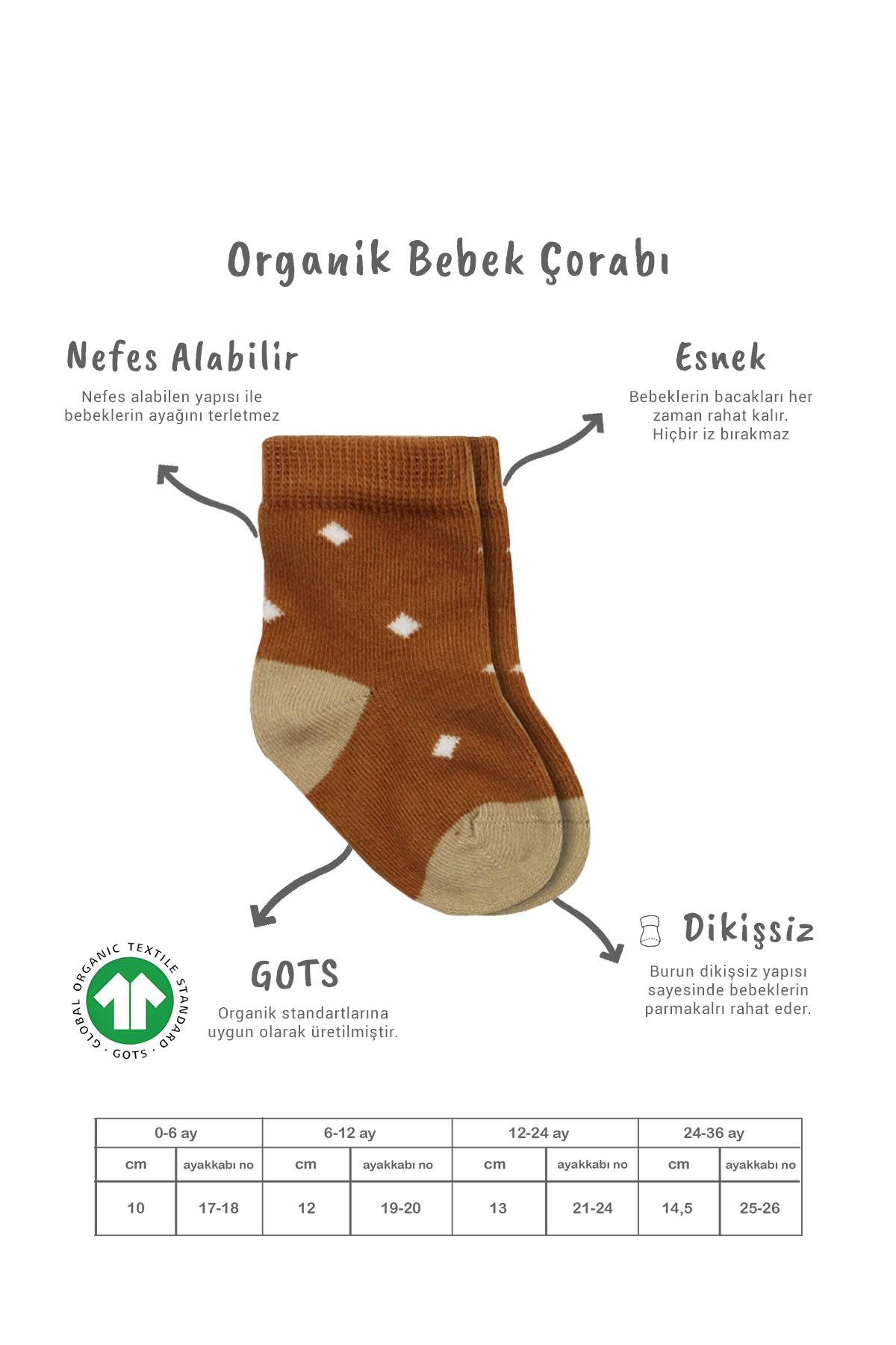Soket ÇorapBisyleBistil Bistyle Organik Dikişsiz 3lü Puanlı Erkek Penye Soket Bebek Çorap 0-3 Ay
