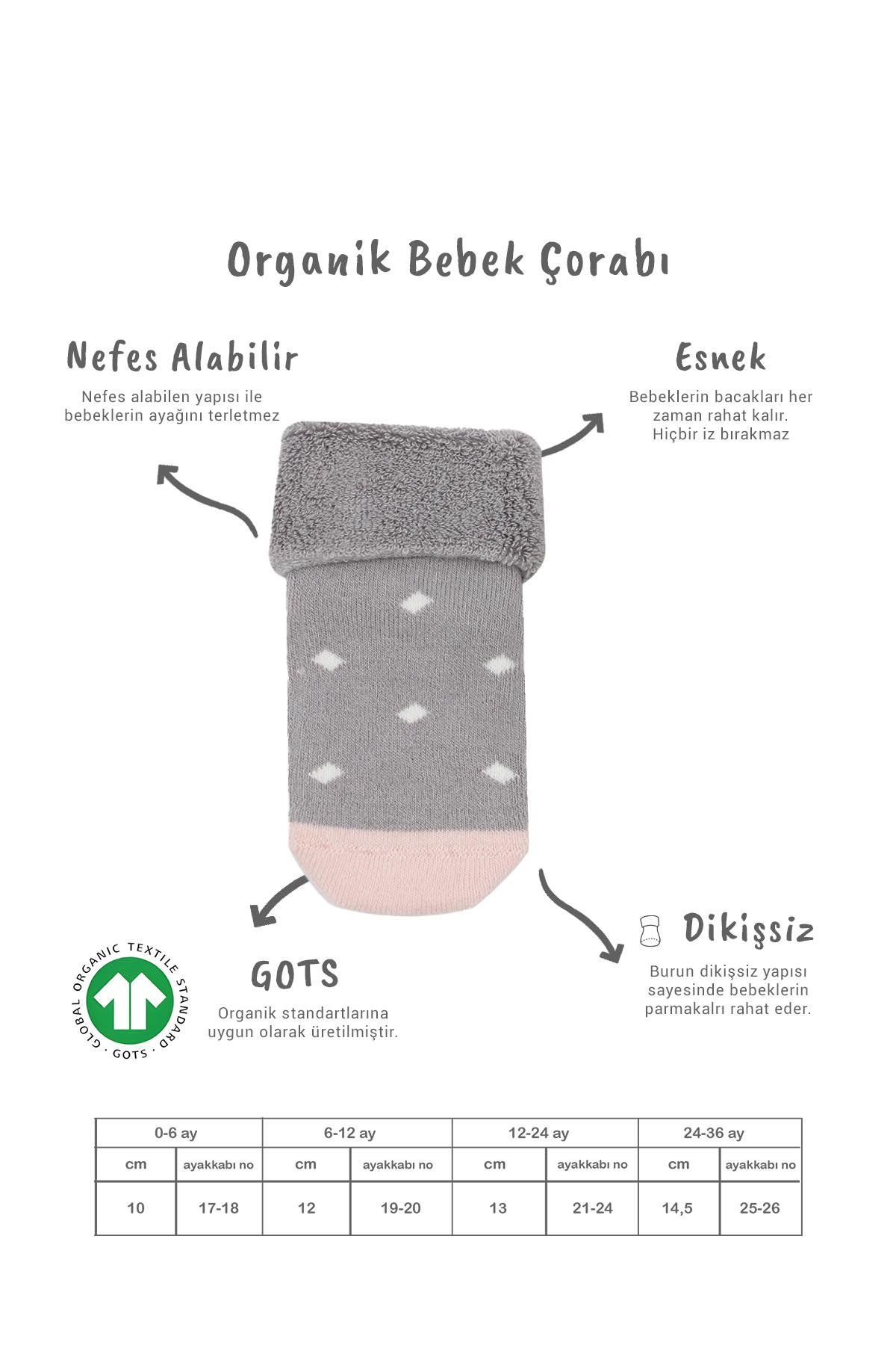 Soket ÇorapBisyleBistil Bistyle Organik Dikişsiz 2li Puanlı Kaymaz Havlu Soket Bebek Çorap