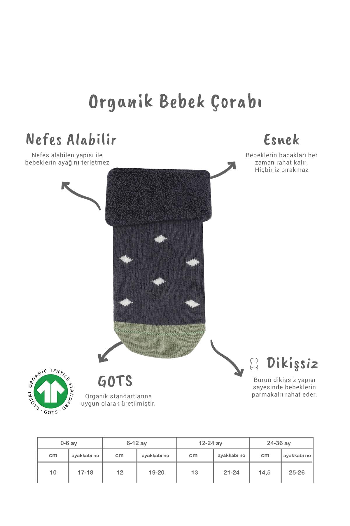 Soket ÇorapBisyleBistil Bistyle Organik Dikişsiz 2li Puanlı Kaymaz Havlu Soket Bebek Çorap
