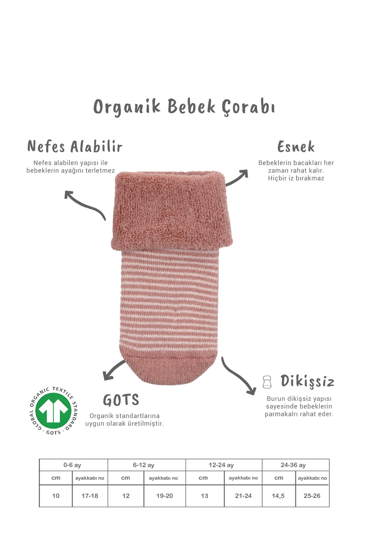 Soket ÇorapBisyleBistil Bistyle Organik Dikişsiz 2li Çemberli Kaymaz Havlu Soket Bebek Çorap