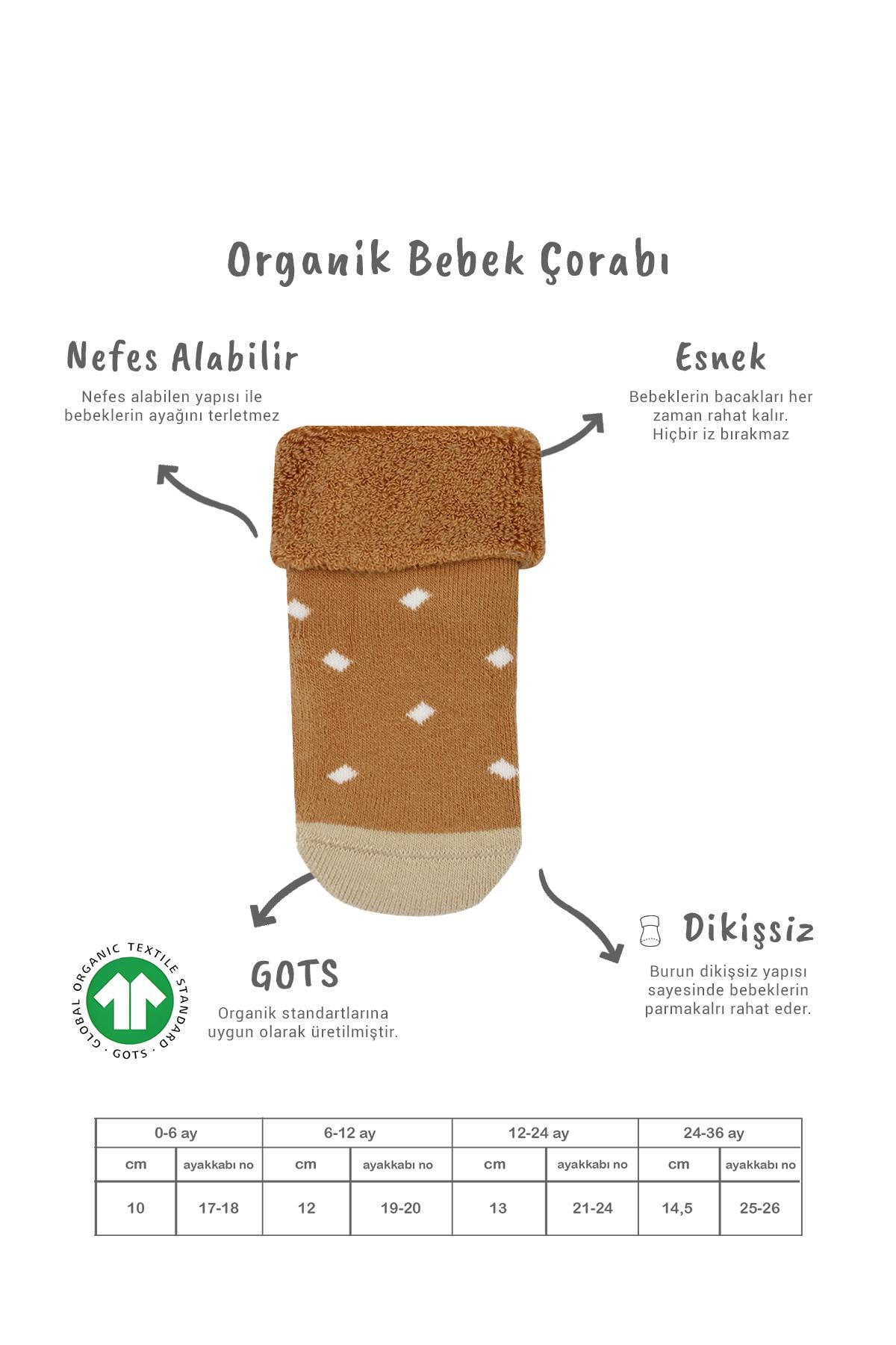 Soket ÇorapBisyleBistil Bistyle Organik Dikişsiz 2li Puanlı Kaymaz Havlu Soket Bebek Çorap
