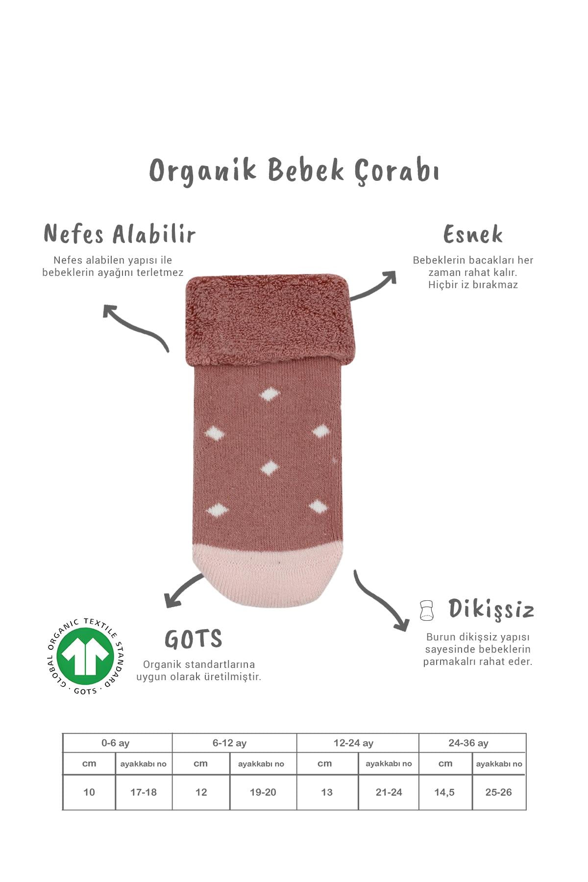 Soket ÇorapBisyleBistil Bistyle Organik Dikişsiz 2li Puanlı Kaymaz Havlu Soket Bebek Çorap