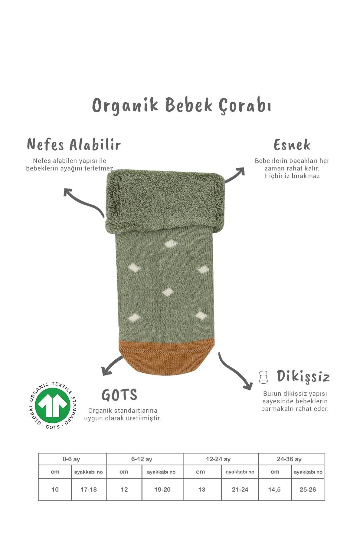 Soket ÇorapBisyleBistil Bistyle Organik Dikişsiz 2li Puanlı Kaymaz Havlu Soket Bebek Çorap