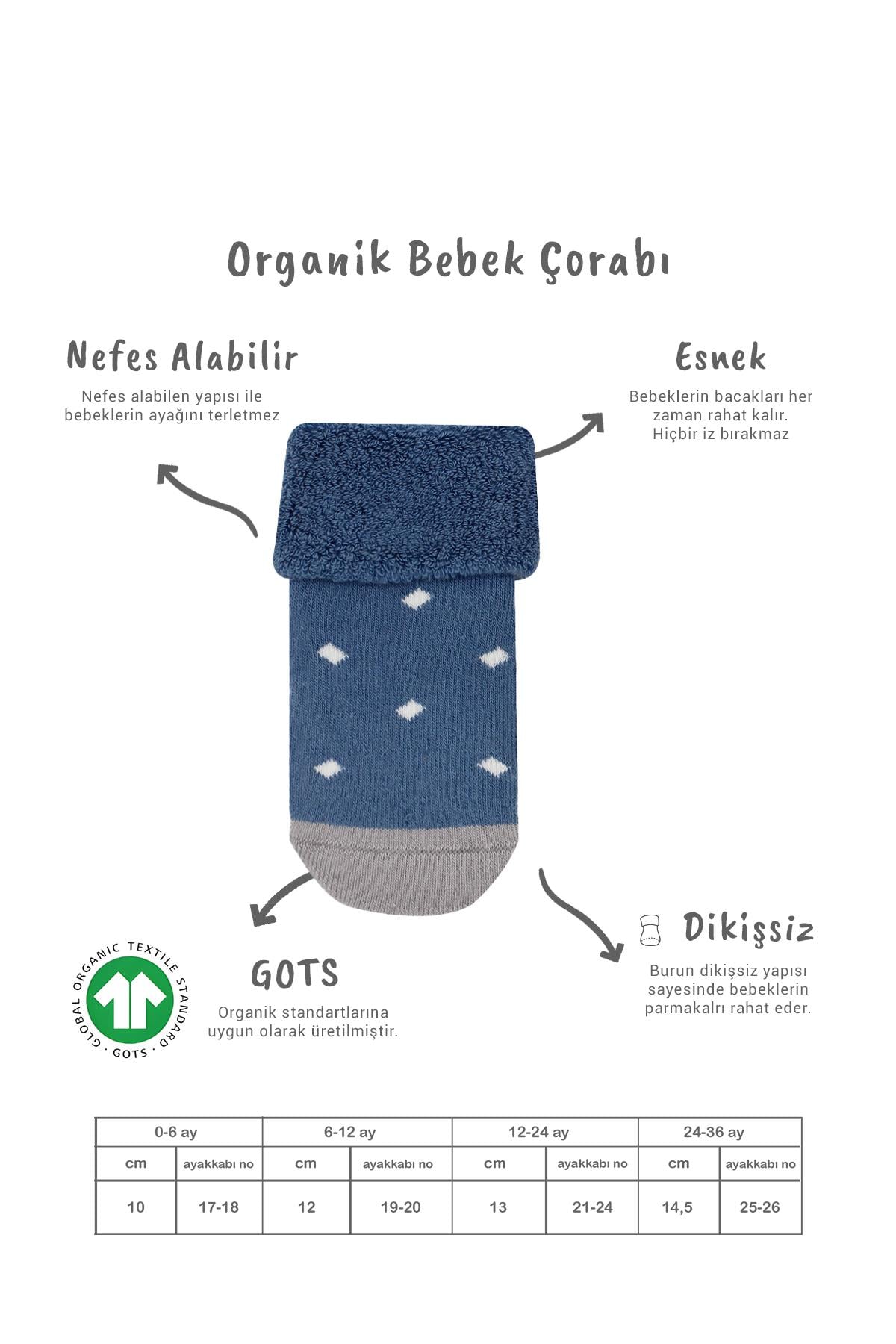 Soket ÇorapBisyleBistil Bistyle Organik Dikişsiz 2li Puanlı Kaymaz Havlu Soket Bebek Çorap