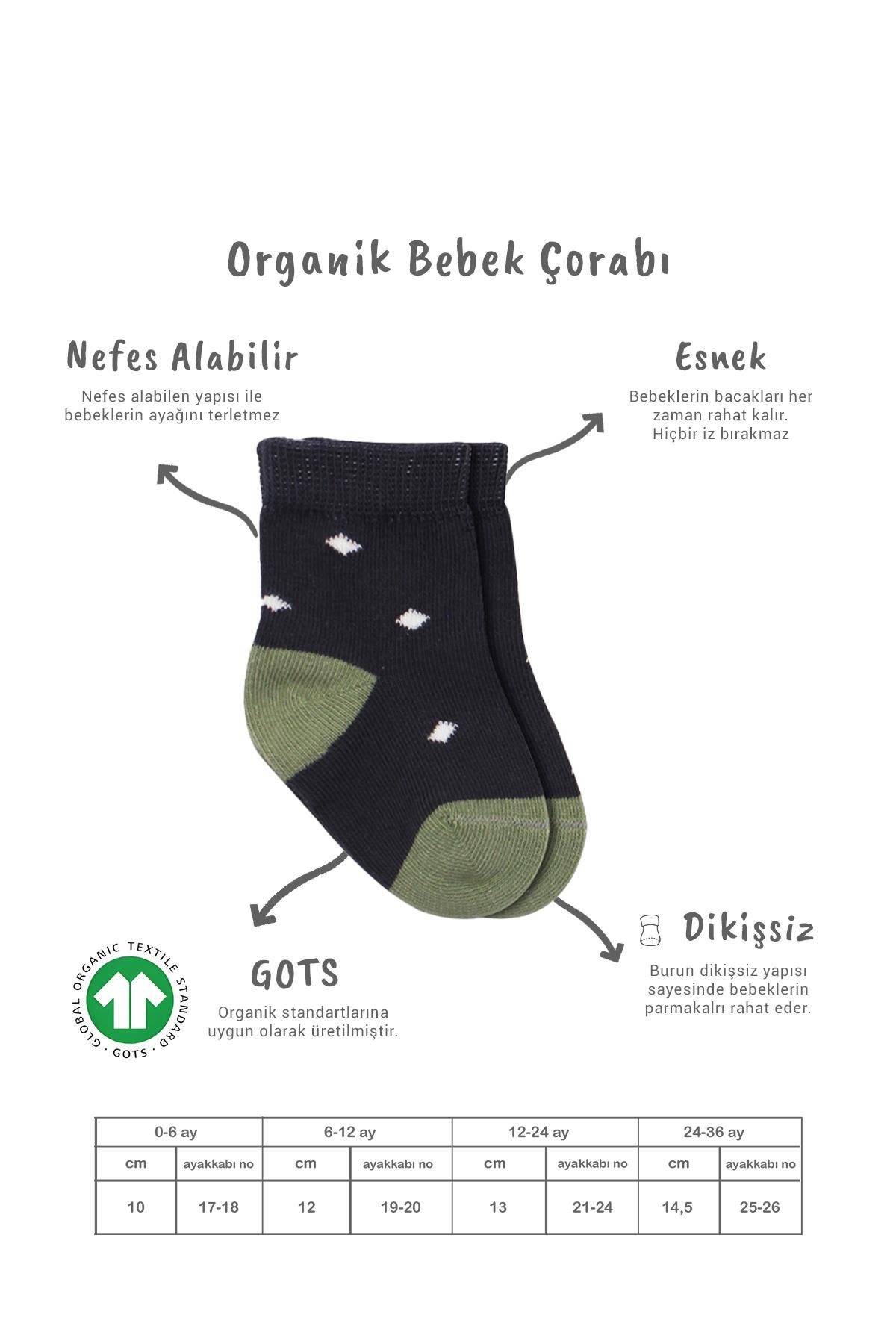 Soket ÇorapBisyleBistil Bistyle Organik Dikişsiz 3lü Puanlı Erkek Penye Soket Bebek Çorap 0-3 Ay