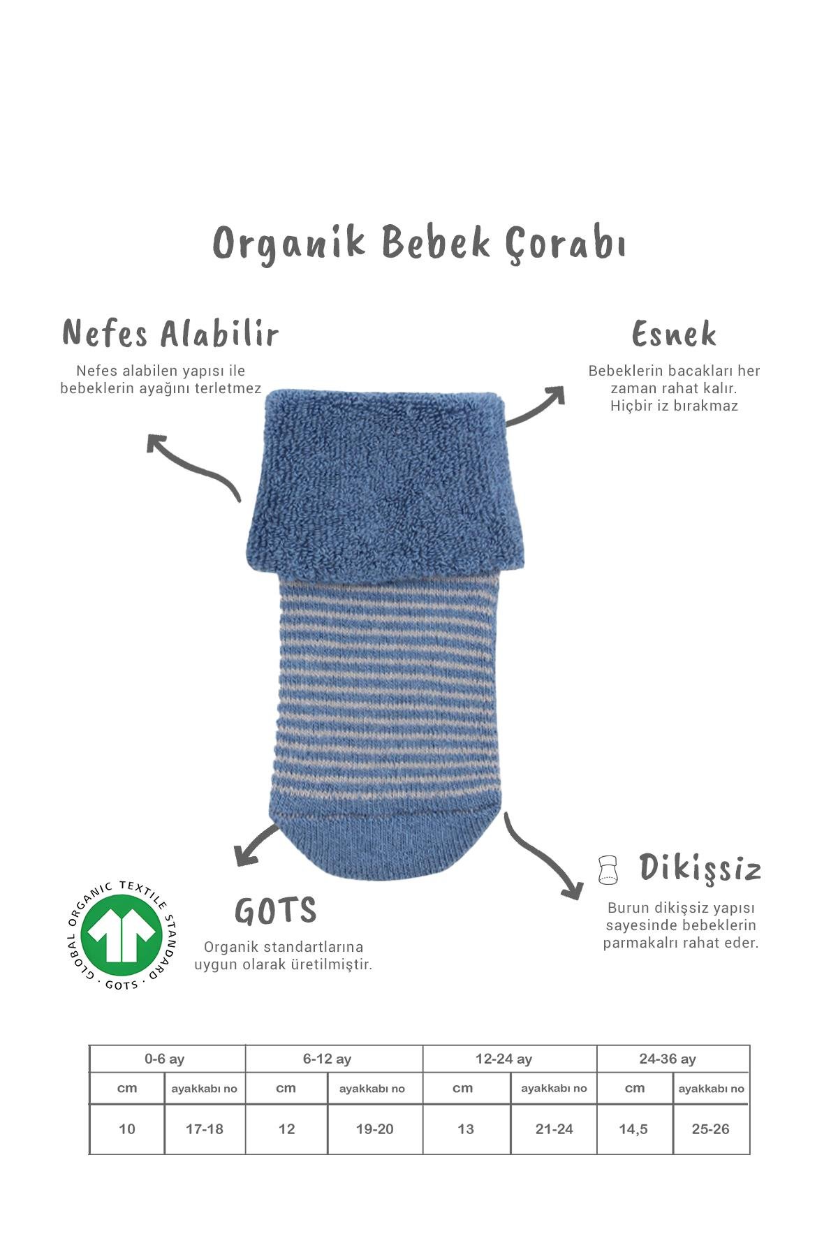 Soket ÇorapBisyleBistil Bistyle Organik Dikişsiz 2li Çemberli Kaymaz Havlu Soket Bebek Çorap