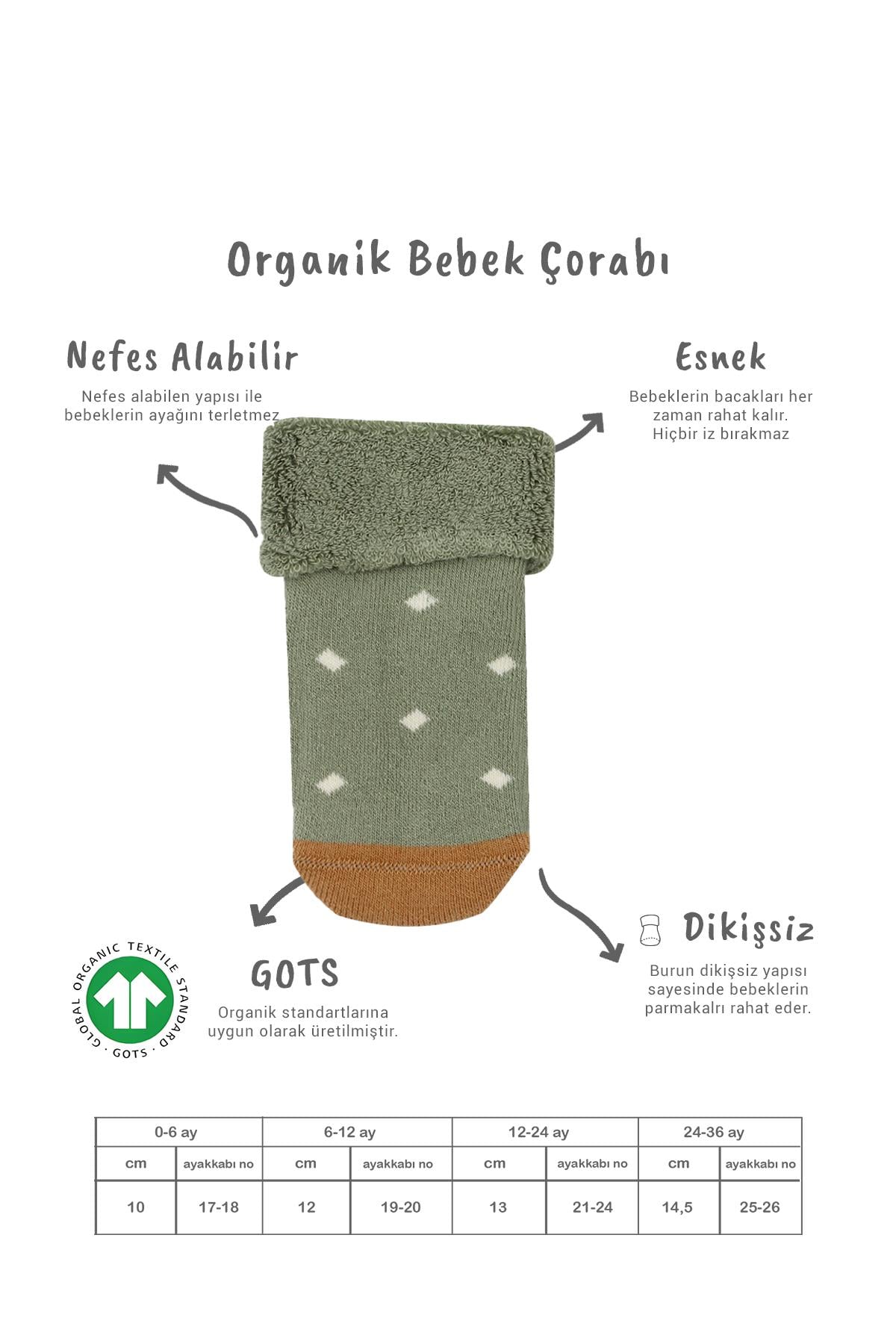 Soket ÇorapBisyleBistil Bistyle Organik Dikişsiz 2li Puanlı Kaymaz Havlu Soket Bebek Çorap