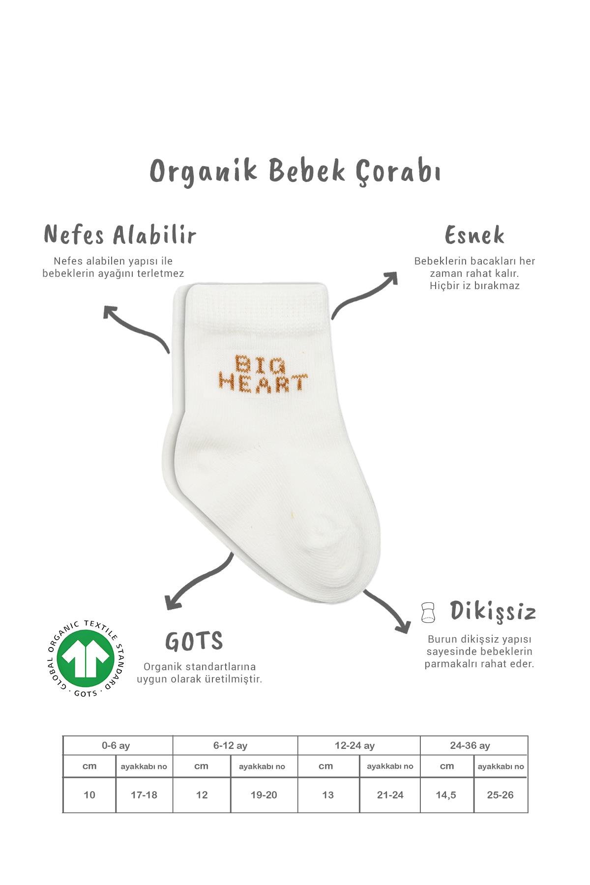 Soket ÇorapBisyleBistil Bistyle Organik Dikişsiz 3lü Pati Penye Soket Bebek Çorap 0-3 Ay