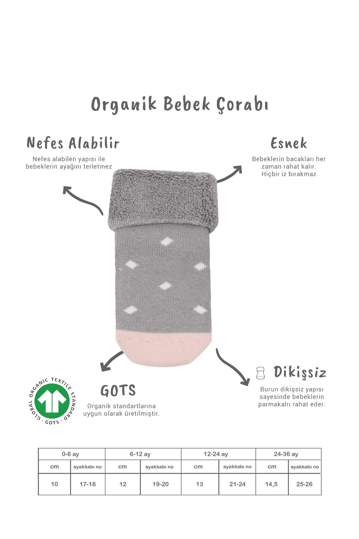 Soket ÇorapBisyleBistil Bistyle Organik Dikişsiz 2li Puanlı Kaymaz Havlu Soket Bebek Çorap